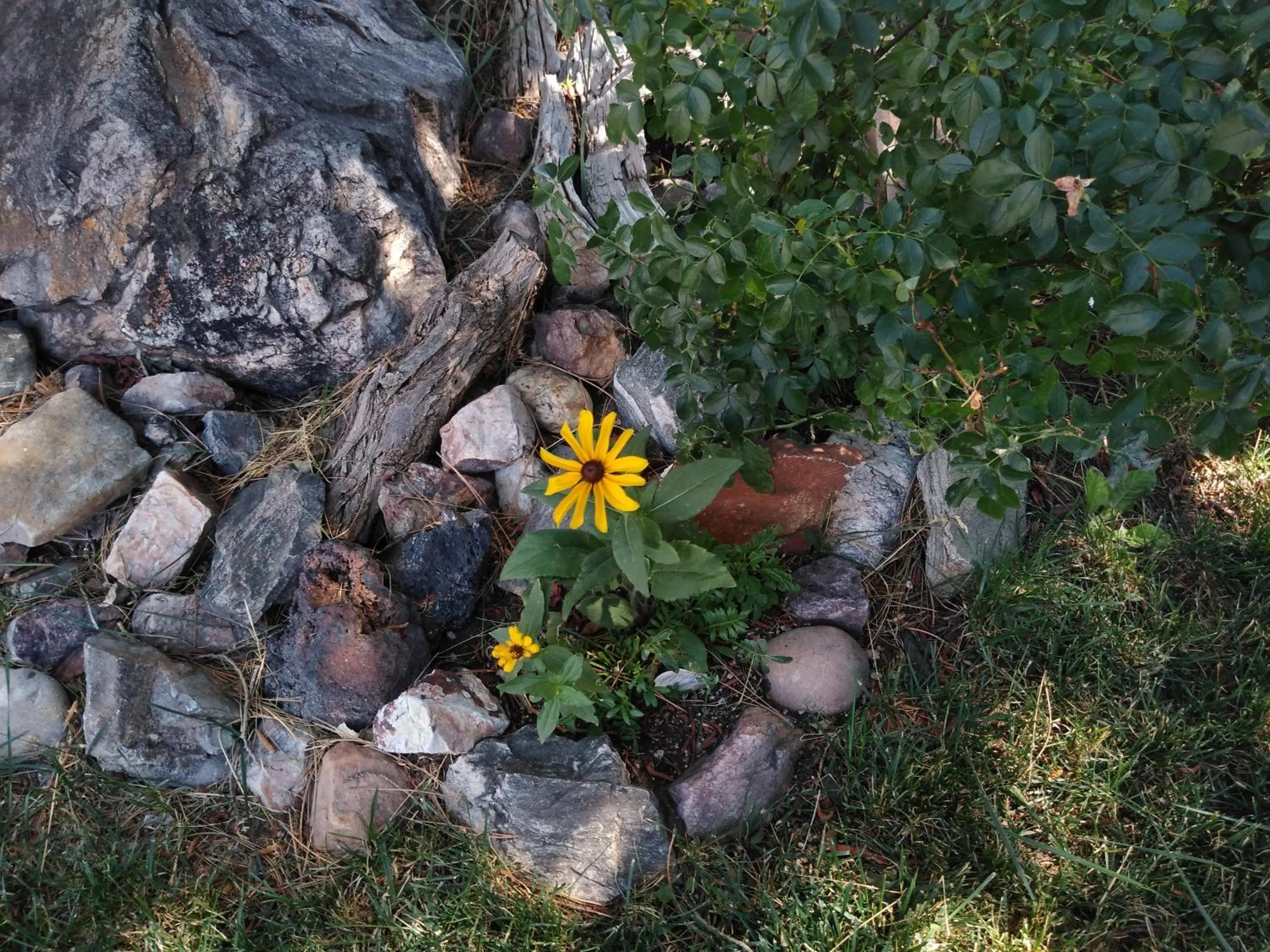 Garden in The Charin Inn