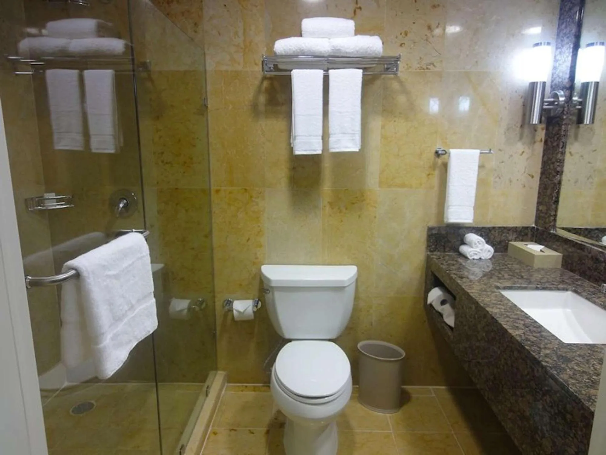 Bathroom in Hilton Garden Inn Tuxtla Gutierrez