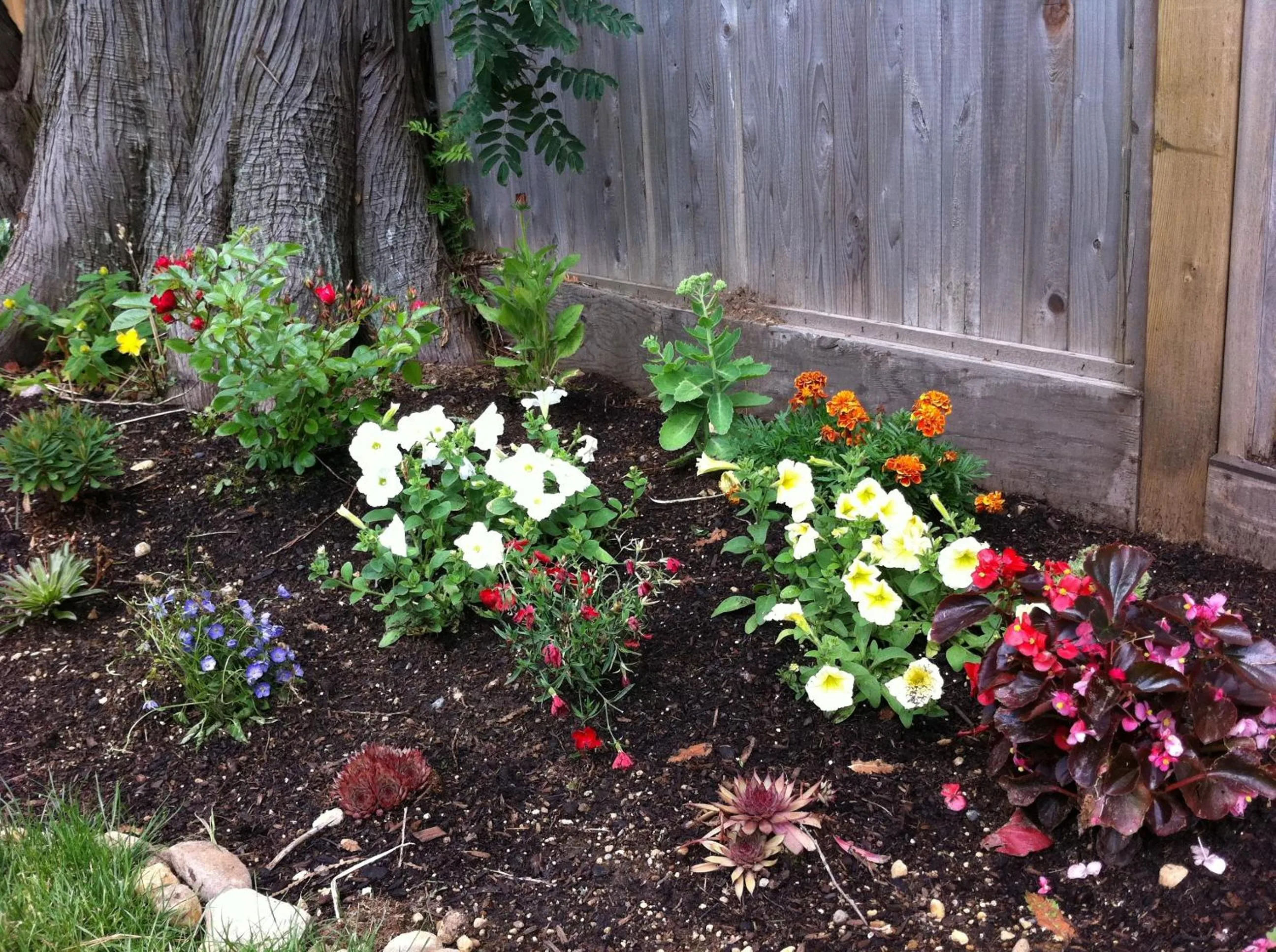 Spring in Imperial House