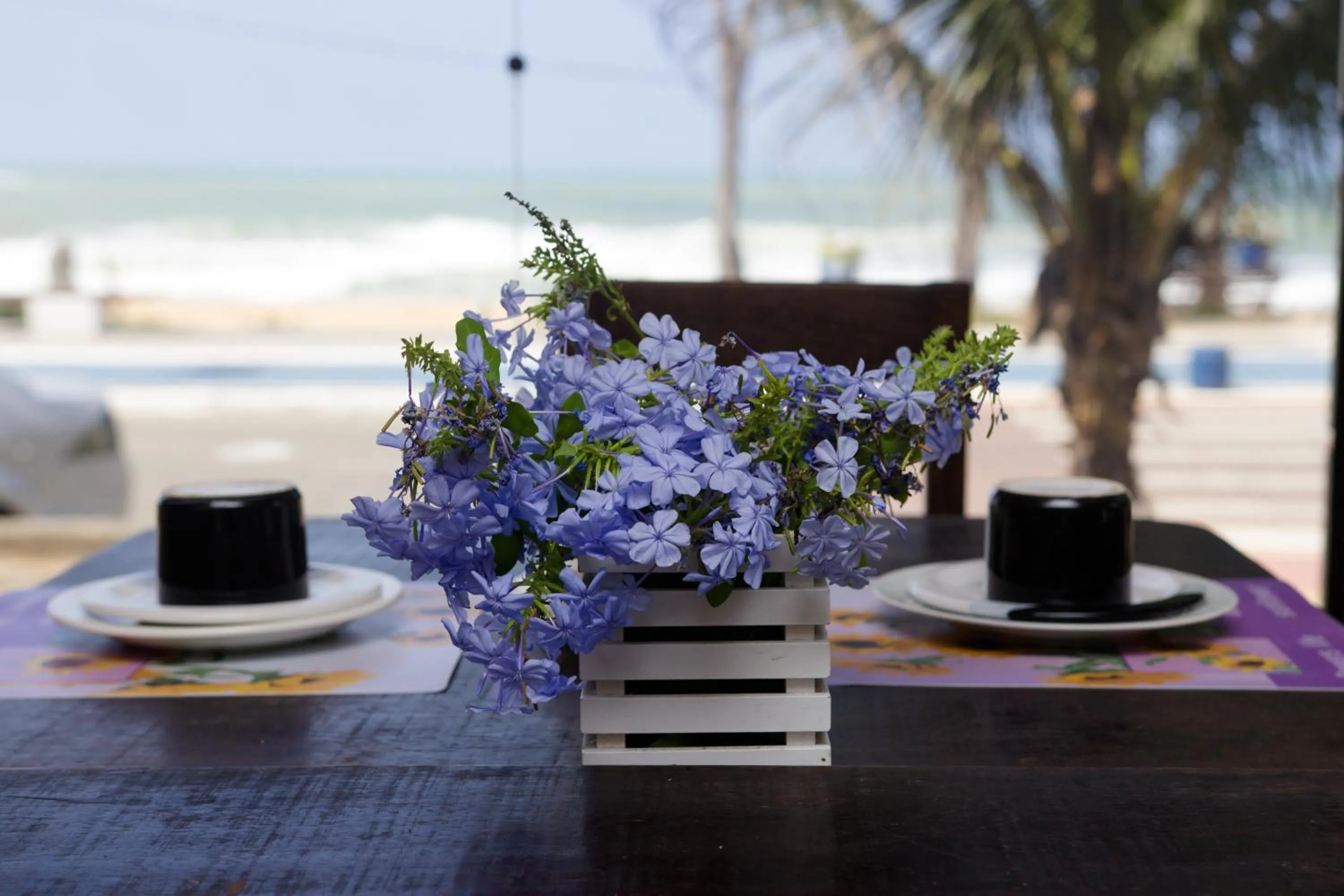 Food and drinks in Hotel Bellatrix