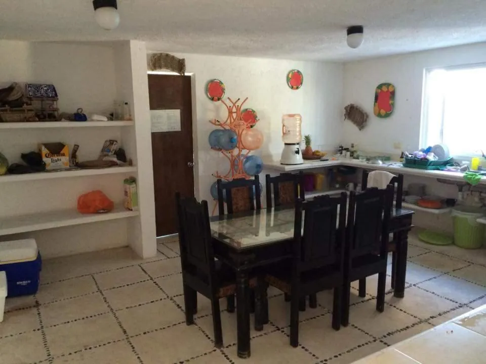 Day in Casa Amor Pto Morelos