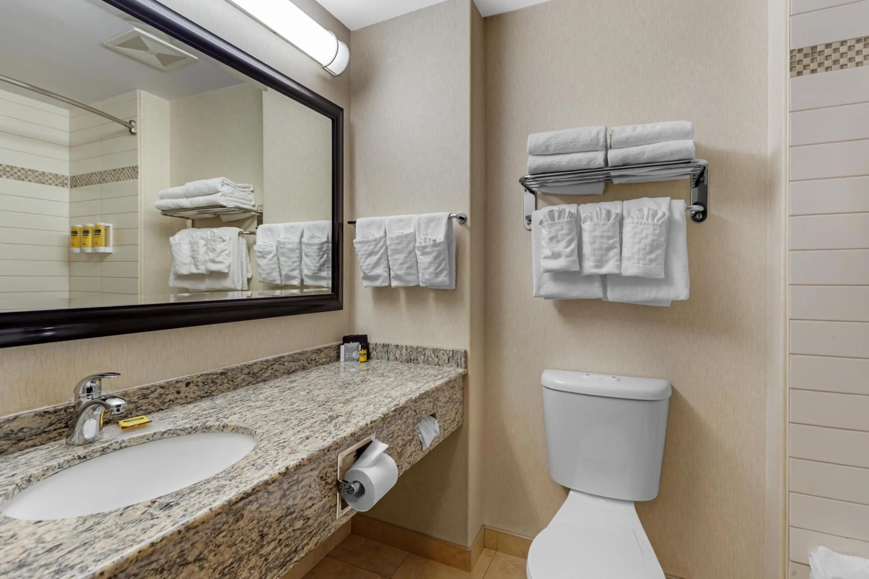 Bathroom in Best Western Plus St Albert