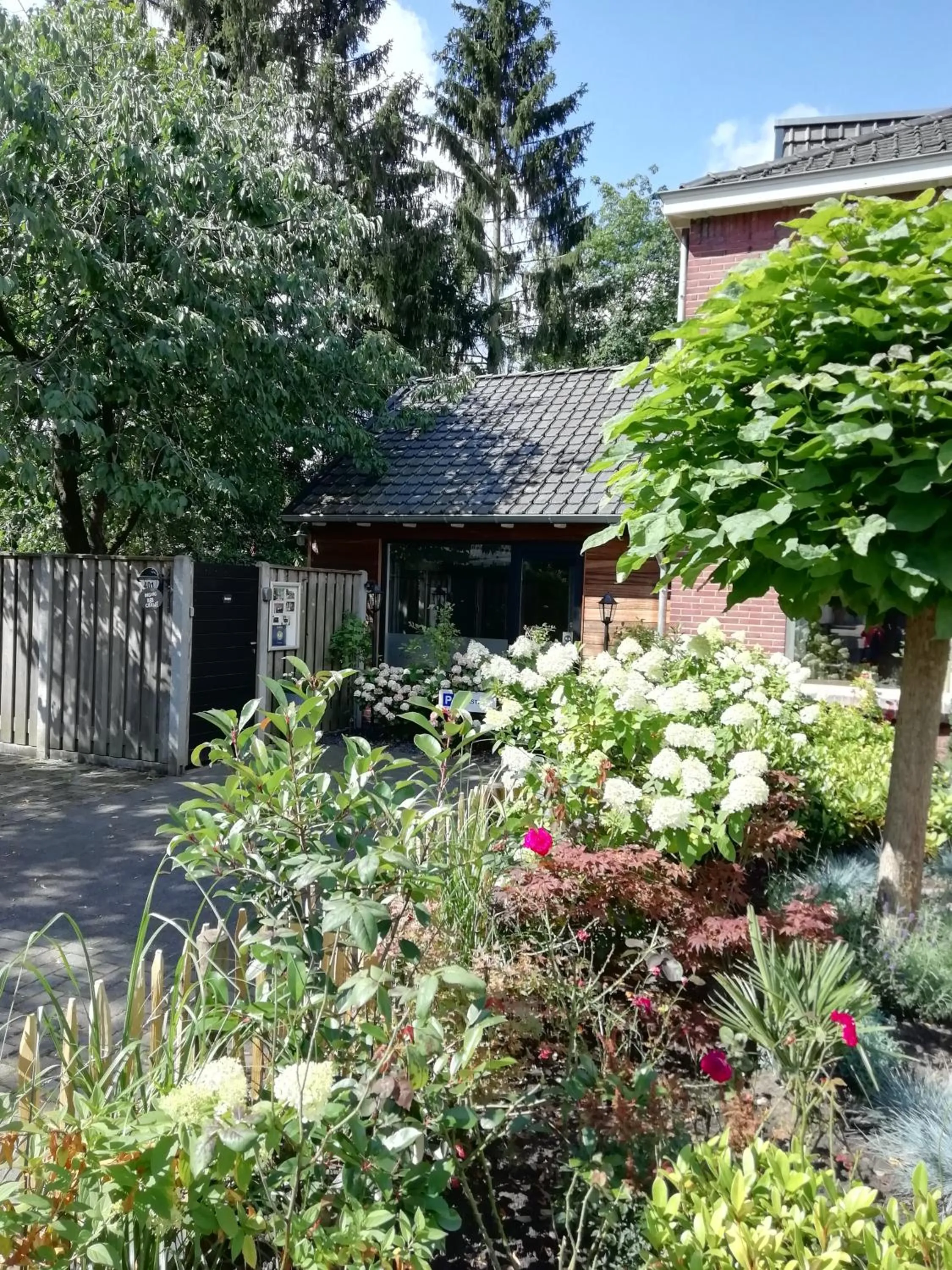 Property building in B & B Chawe