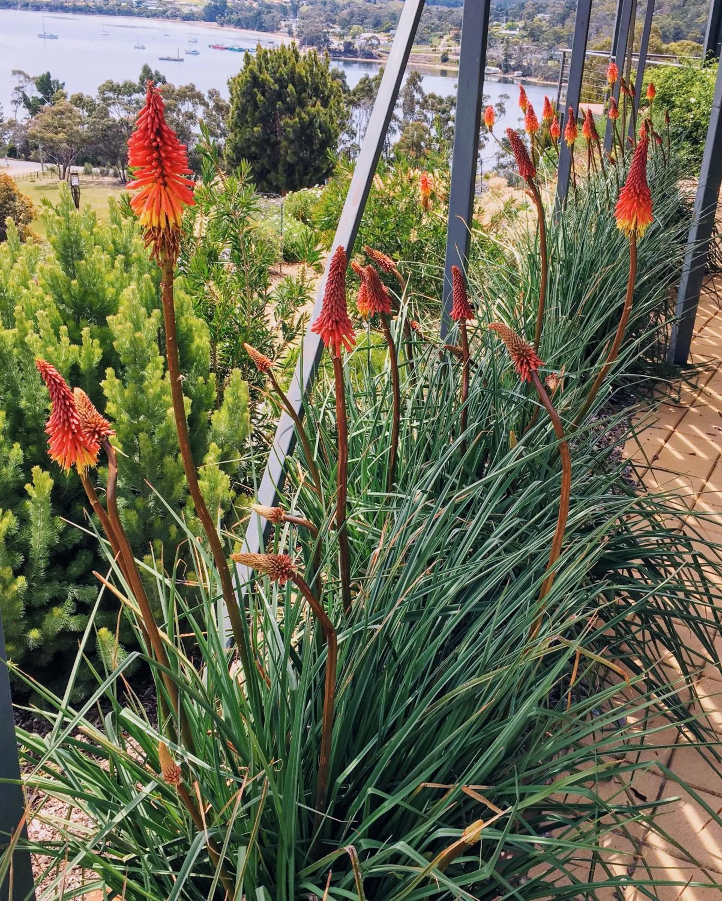 Garden in Storm Bay B&B