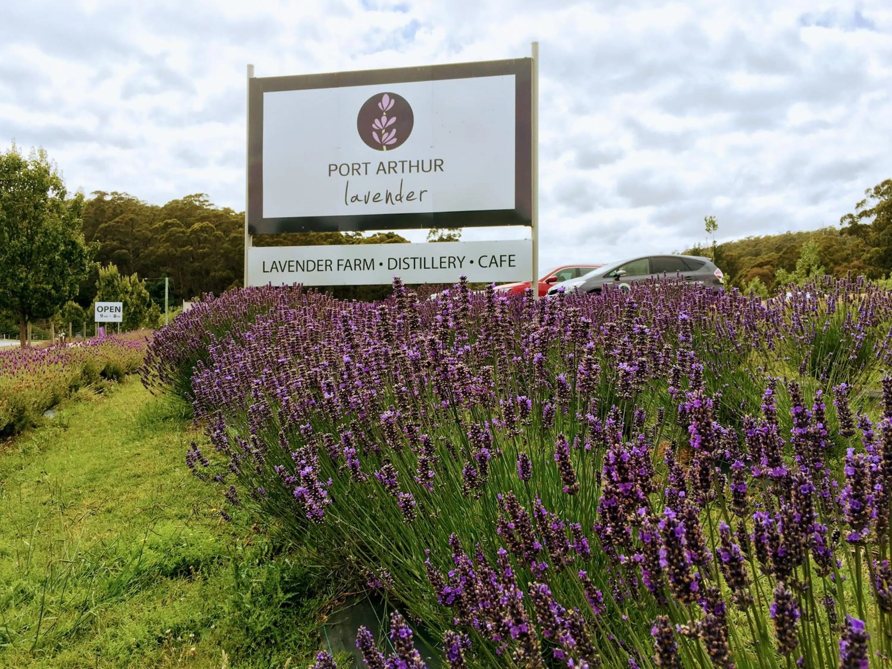 Restaurant/places to eat in Storm Bay B&B