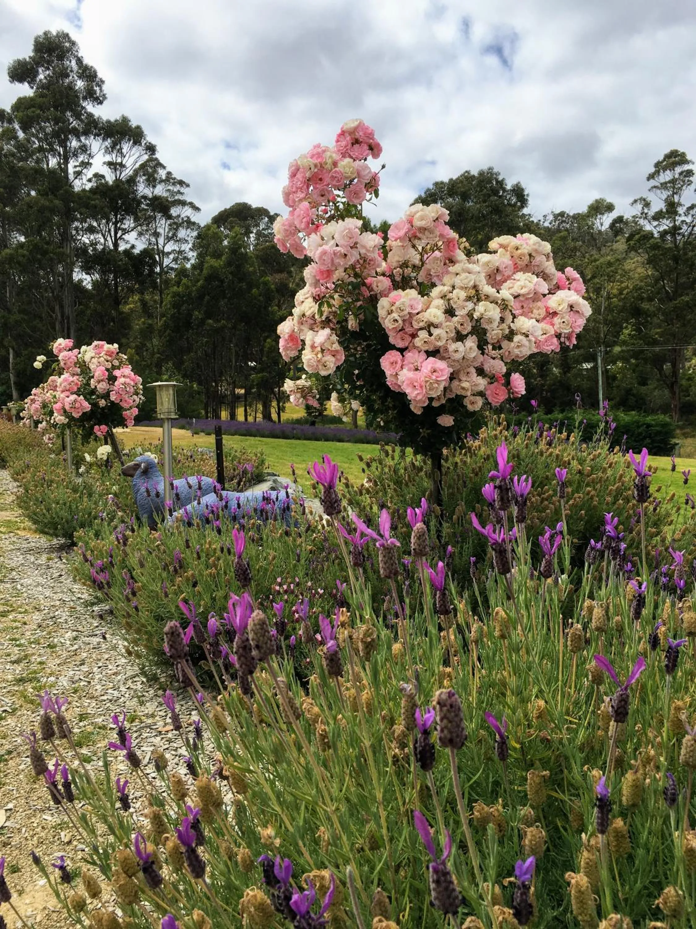 Restaurant/places to eat in Storm Bay B&B