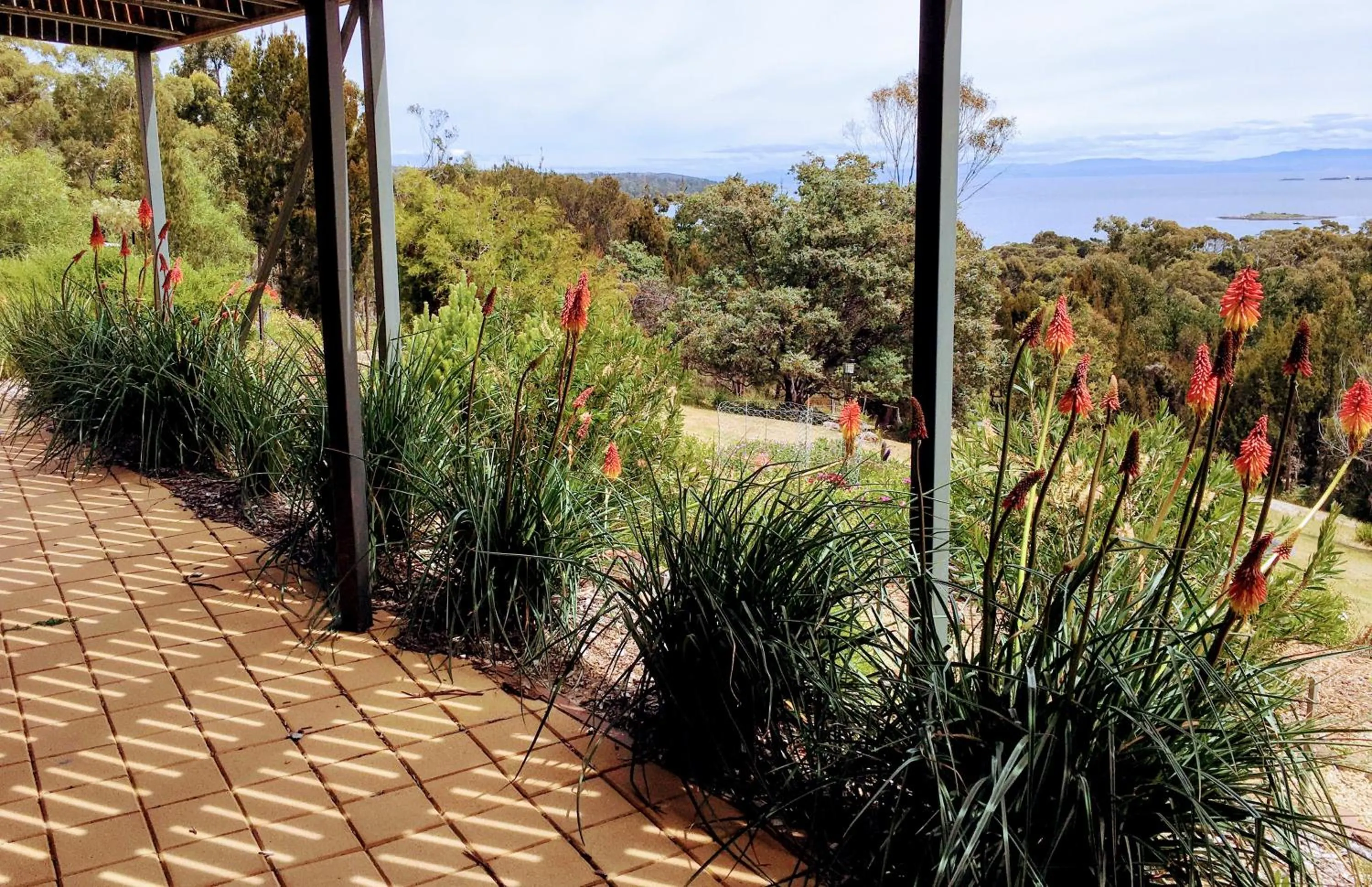 Garden in Storm Bay B&B