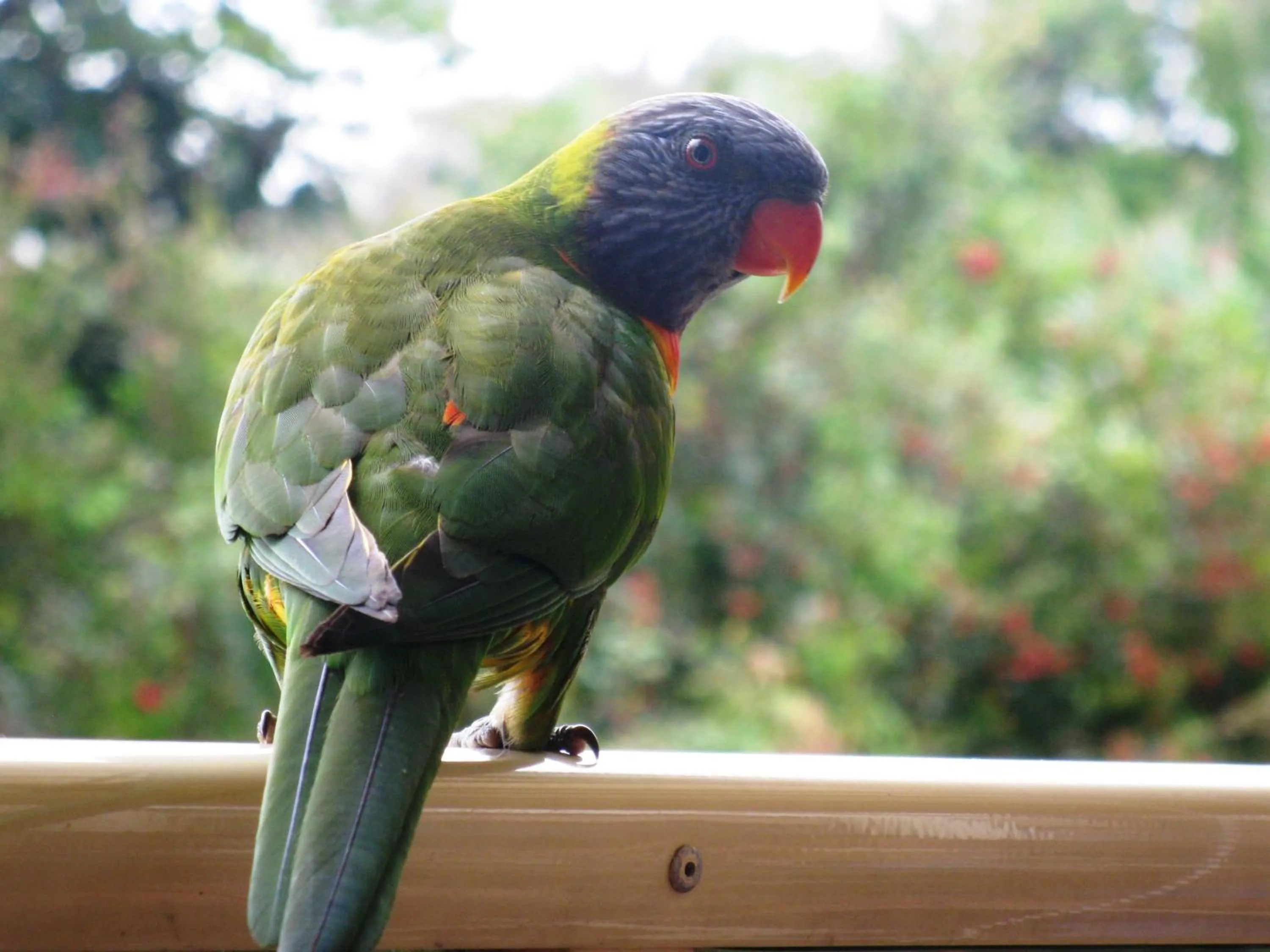 Other in Edgewater Holiday Park