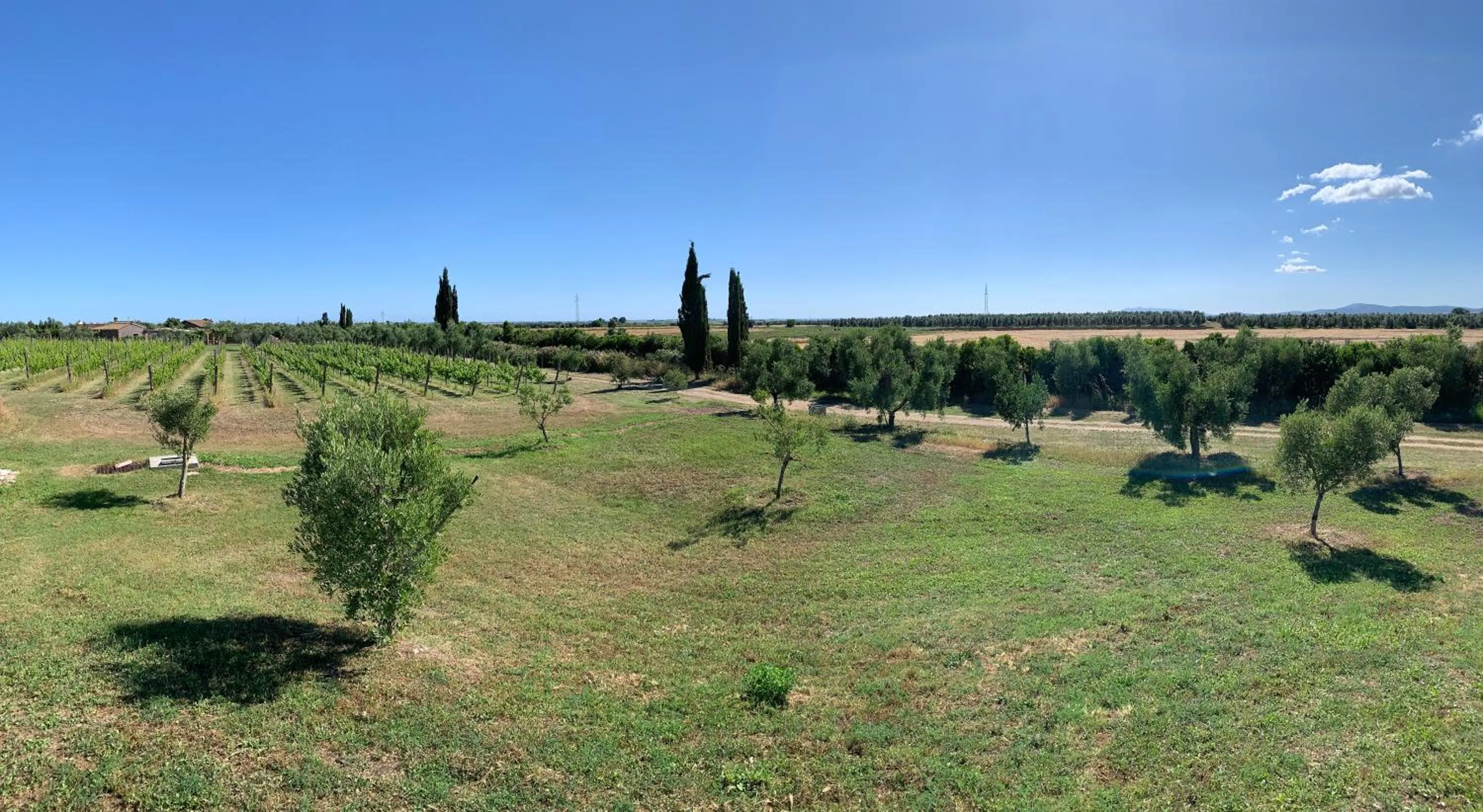 Natural landscape in Resort Fonte Vulci