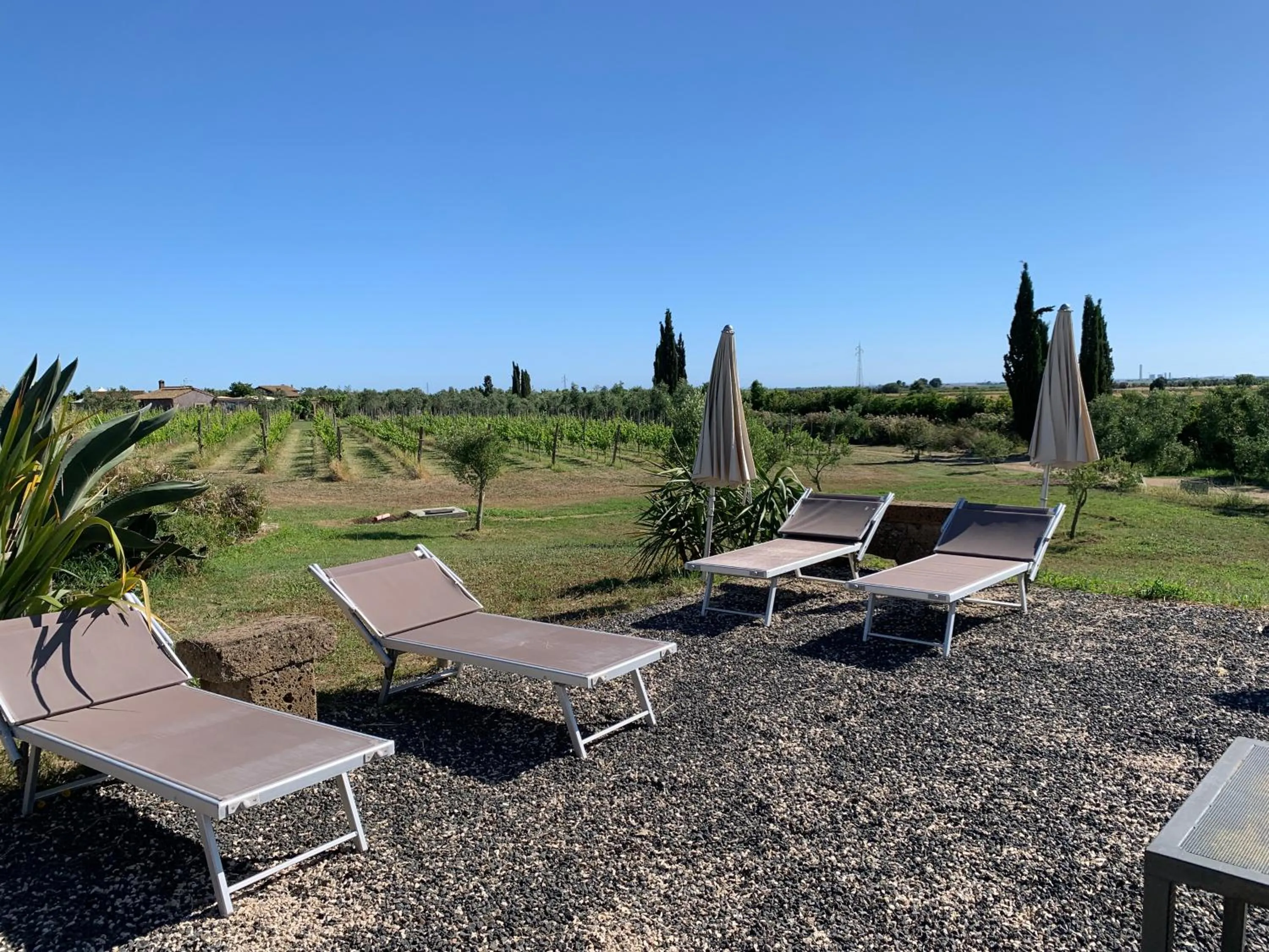 Natural landscape in Resort Fonte Vulci