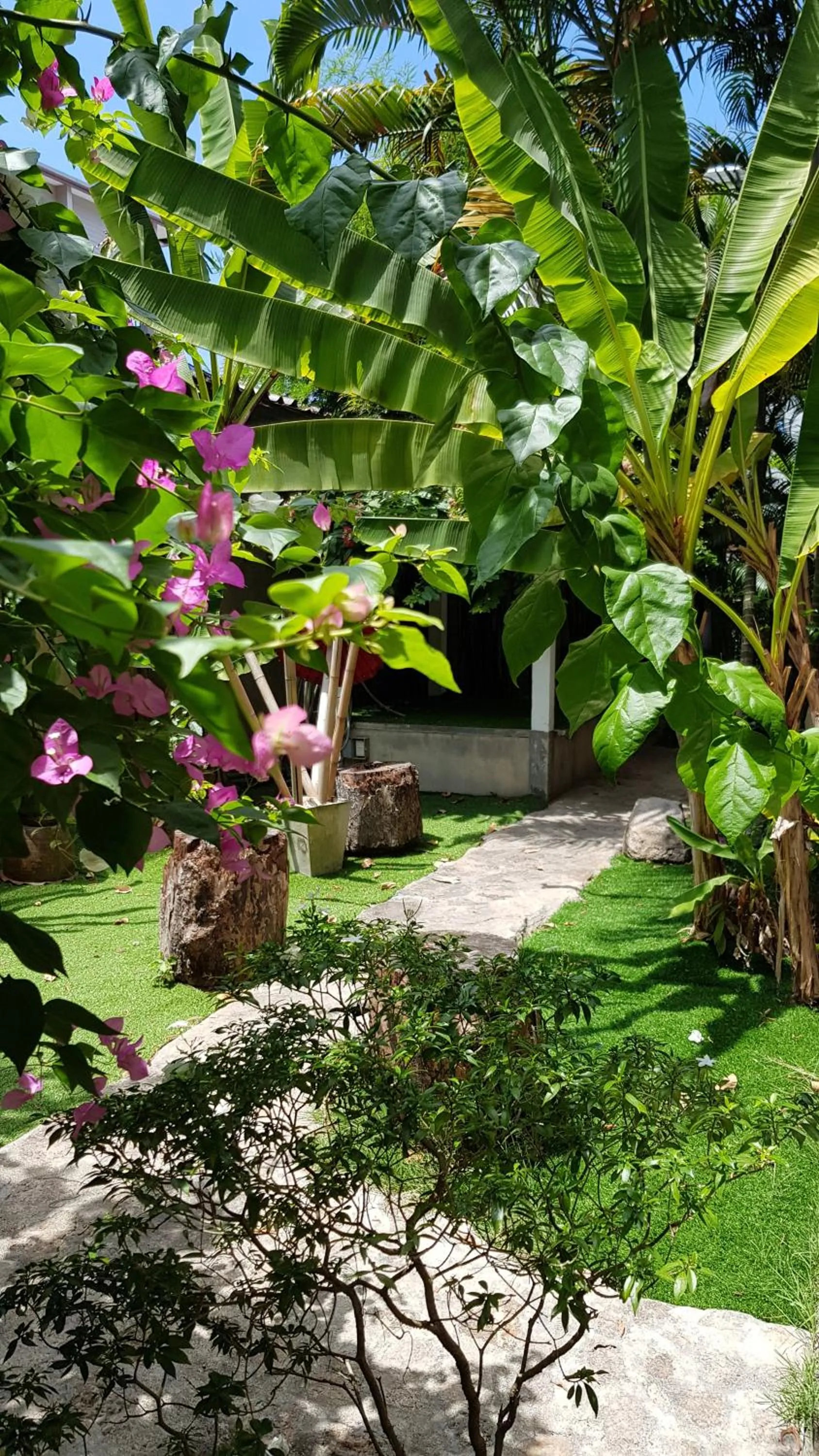 Garden in Sairee Sairee Guesthouse