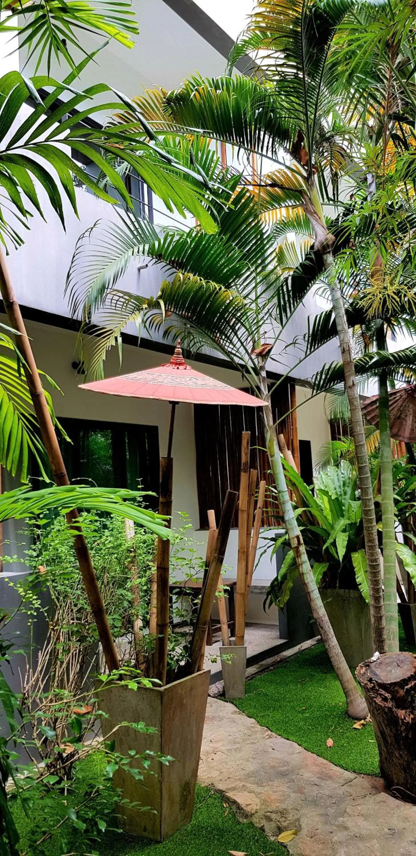 Garden view in Sairee Sairee Guesthouse