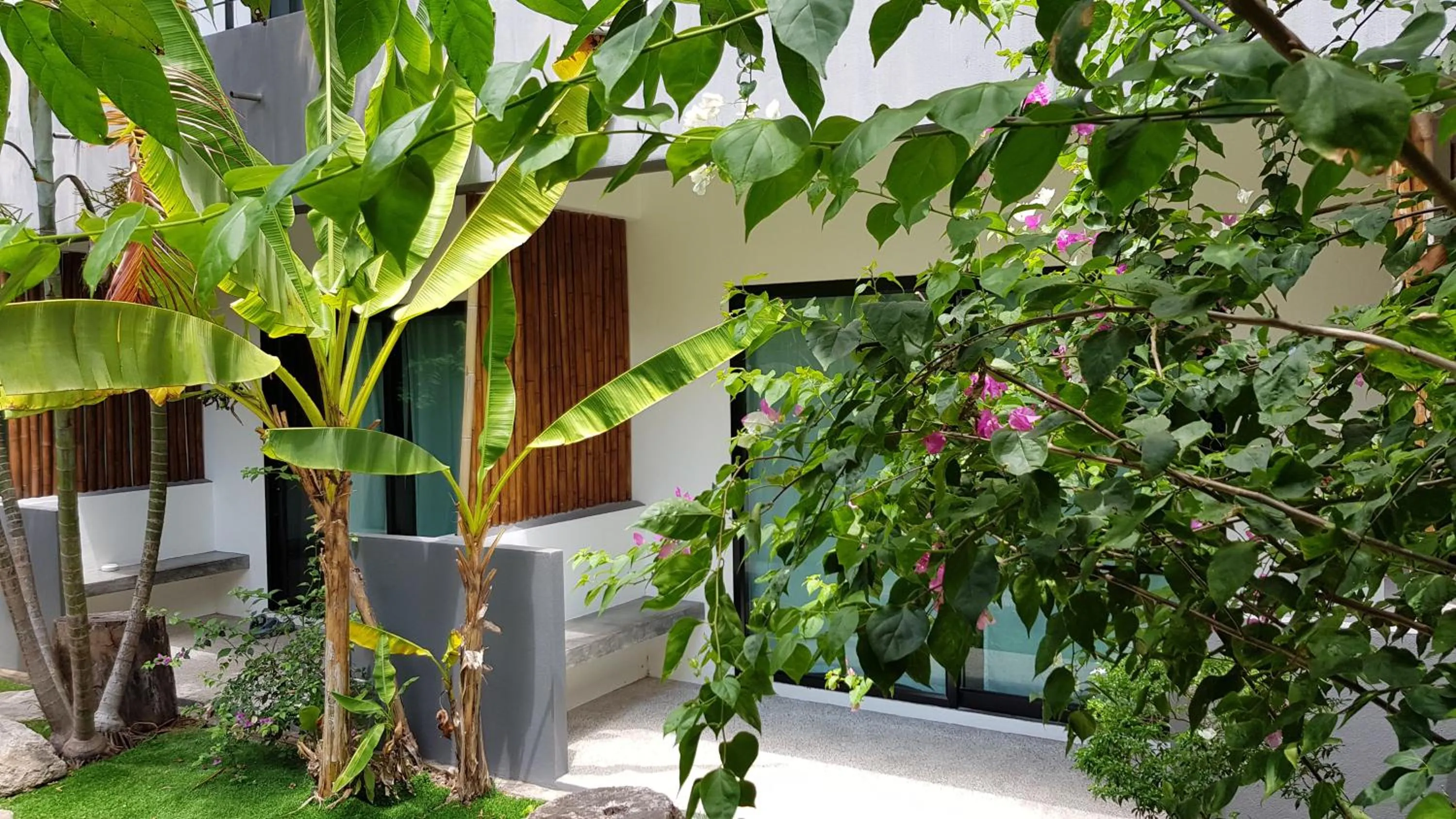 Garden in Sairee Sairee Guesthouse