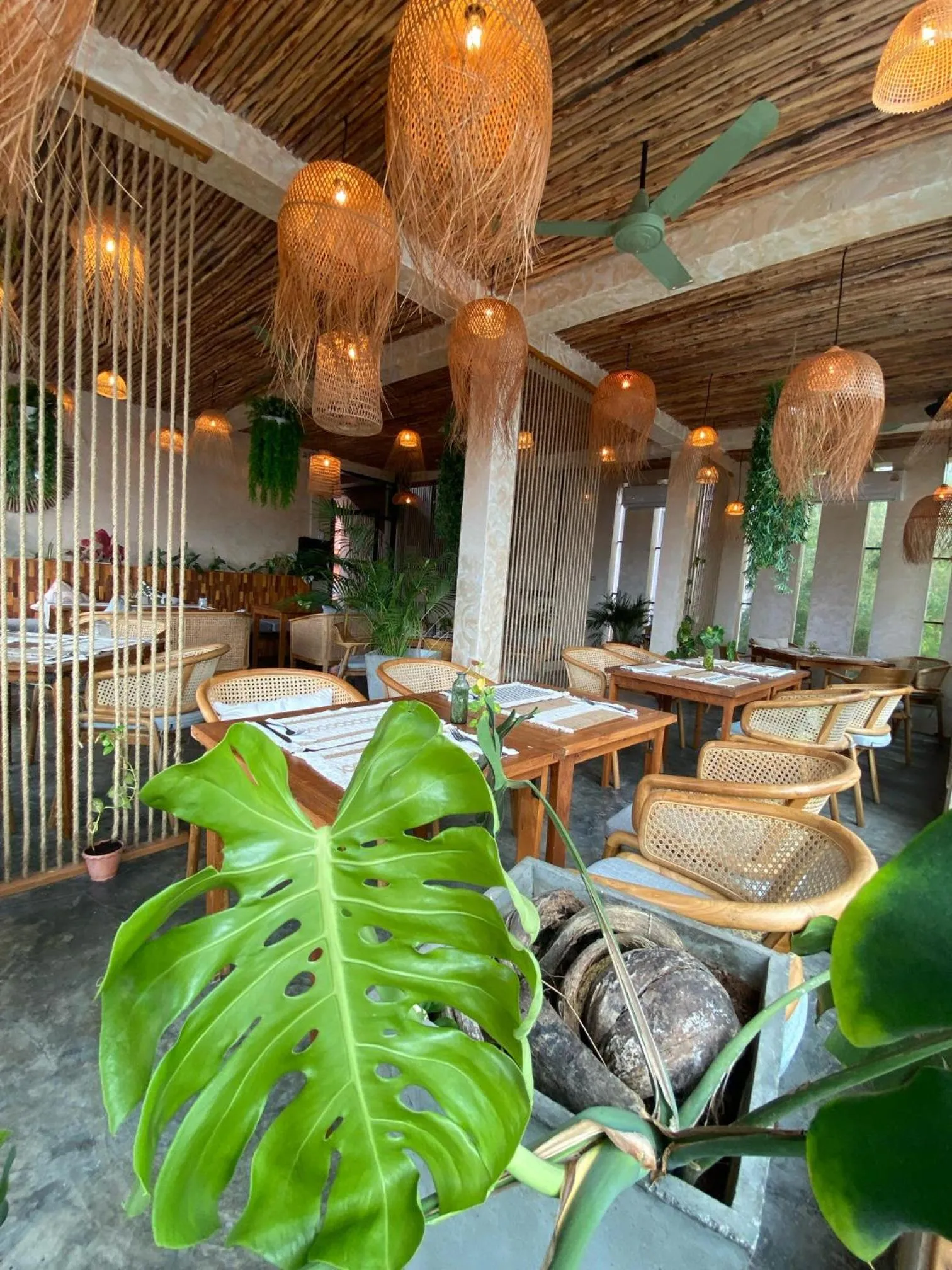 Restaurant/places to eat in Sairee Sairee Guesthouse