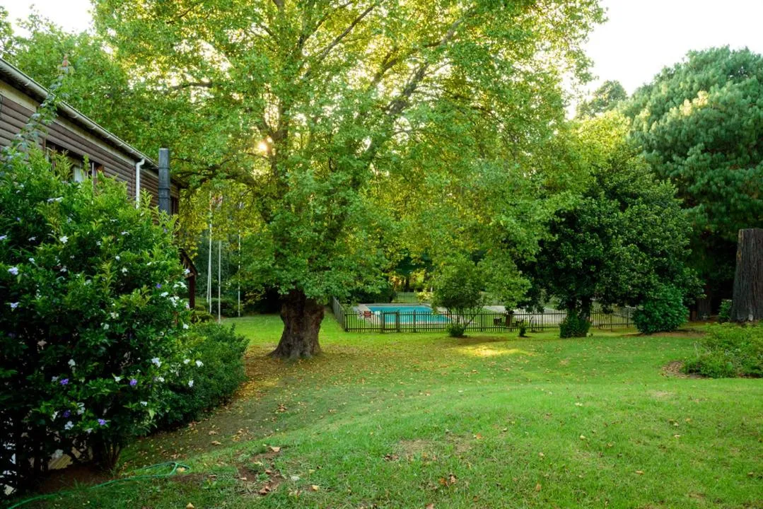 Garden in Kings Lodge Hotel