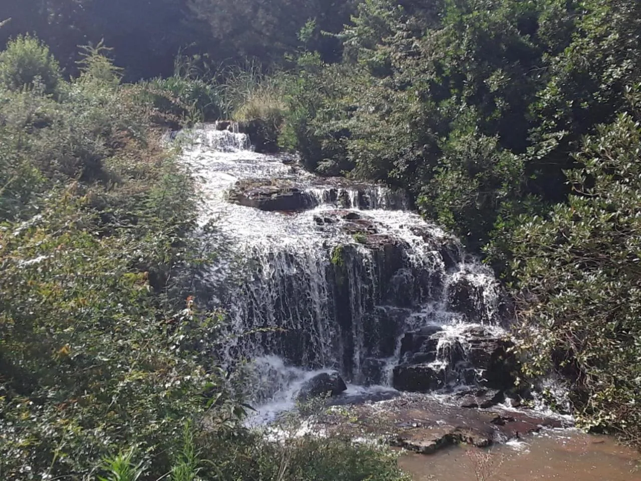 Spring in Kings Lodge Hotel
