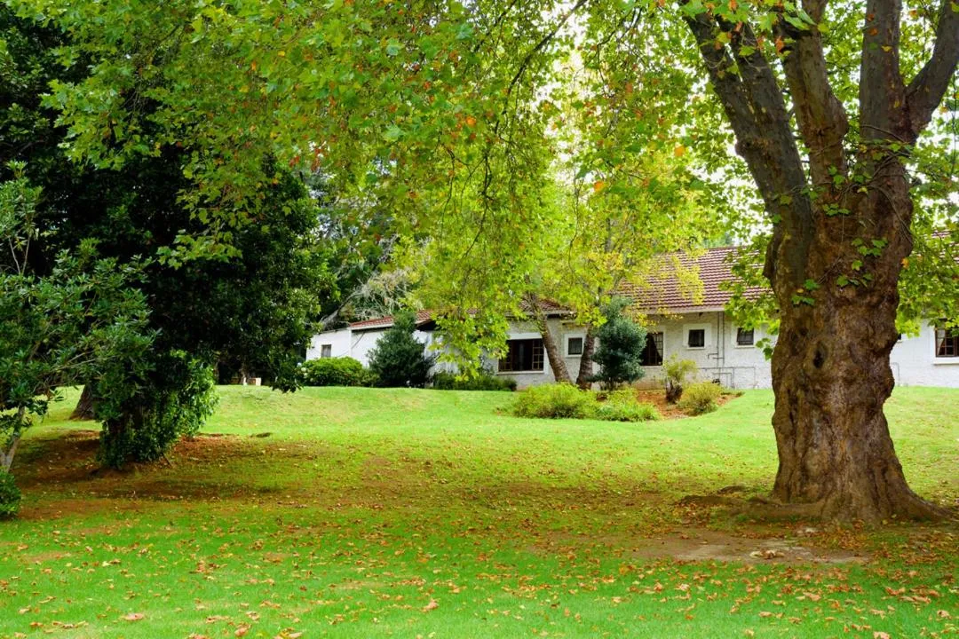 Spring in Kings Lodge Hotel