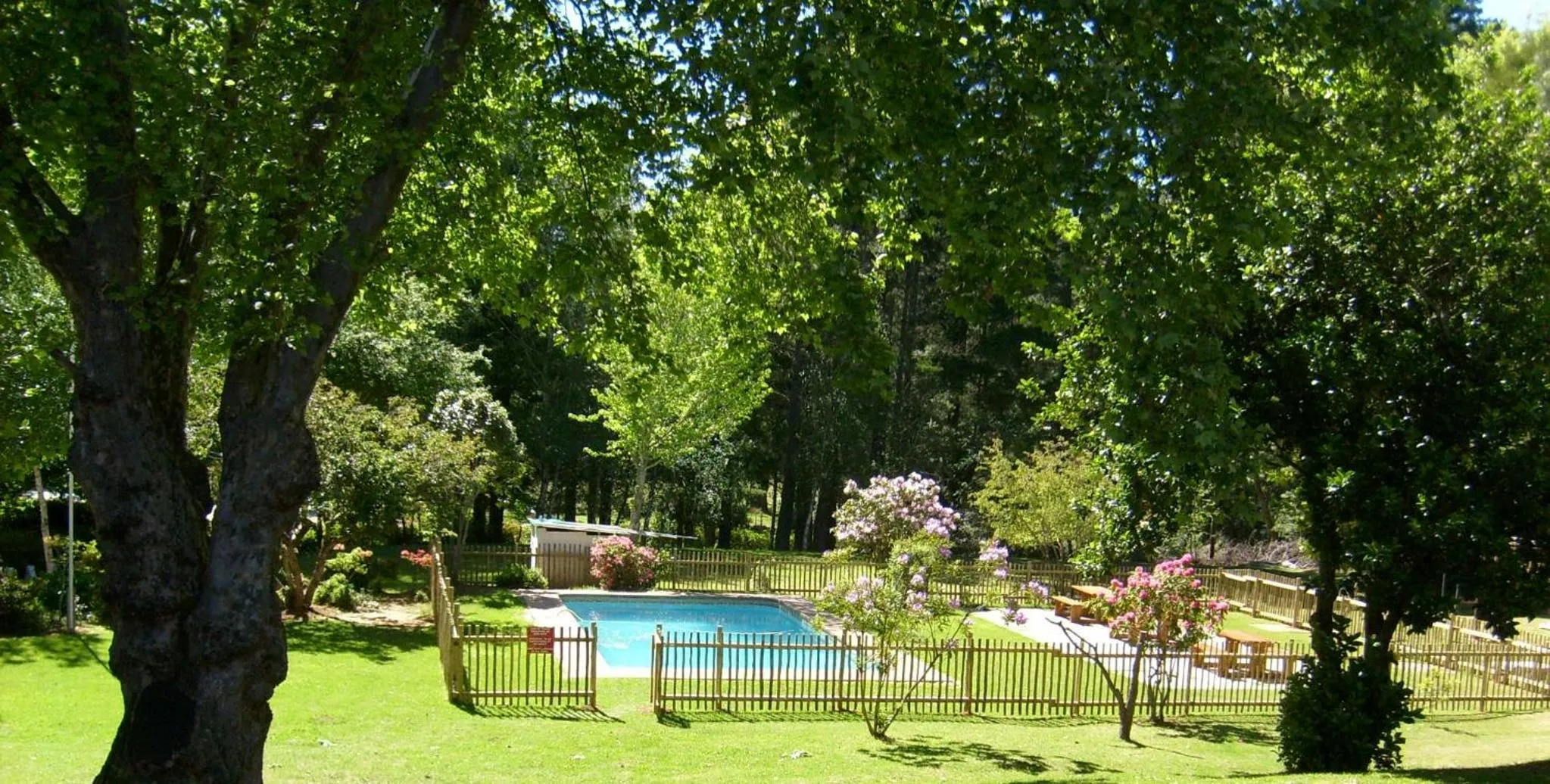 Garden in Kings Lodge Hotel