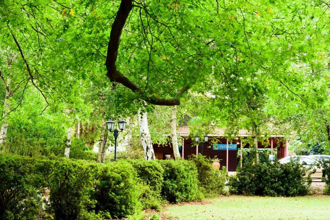 Garden in Kings Lodge Hotel