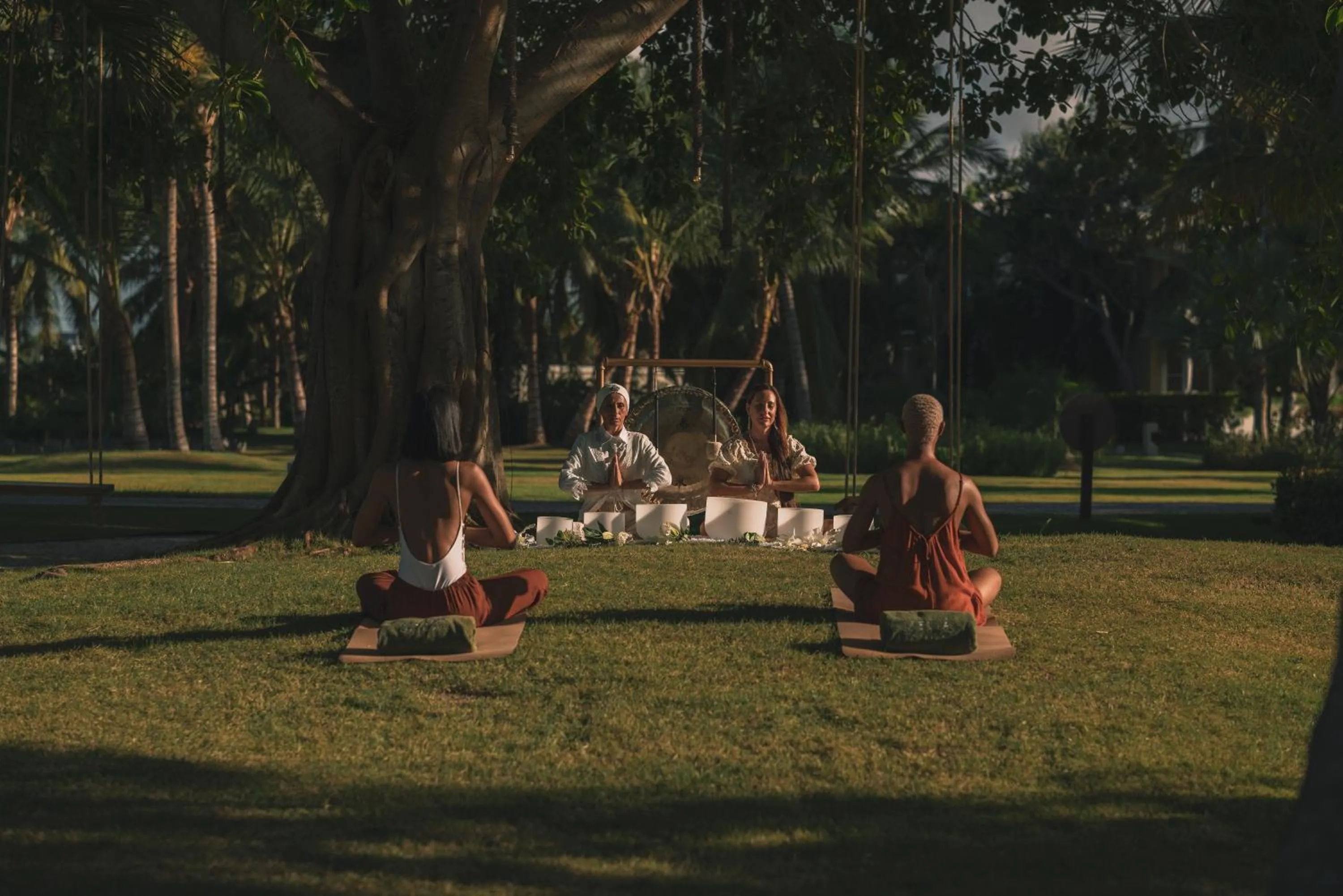 Spring in Meliá Punta Cana Beach Wellness Inclusive - Adults only