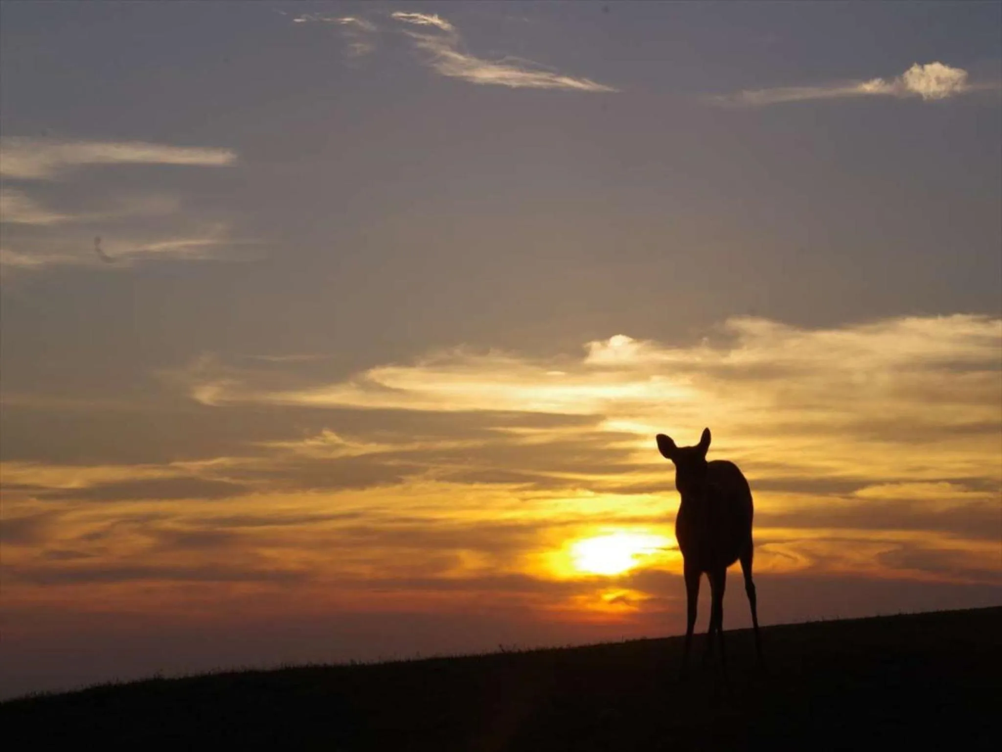Natural landscape in Hotel New Wakasa