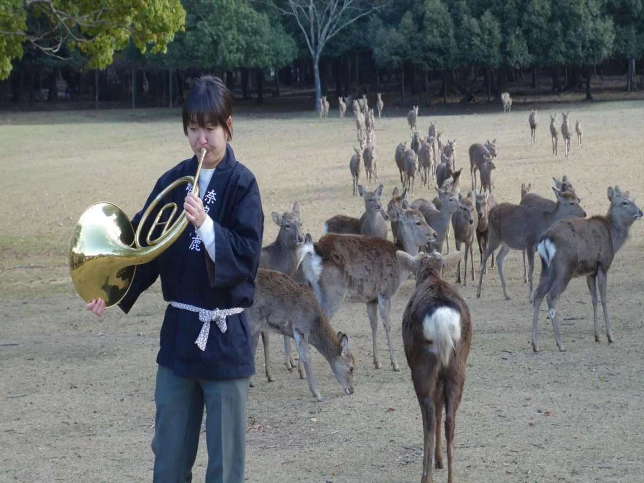 Nearby landmark in Hotel New Wakasa