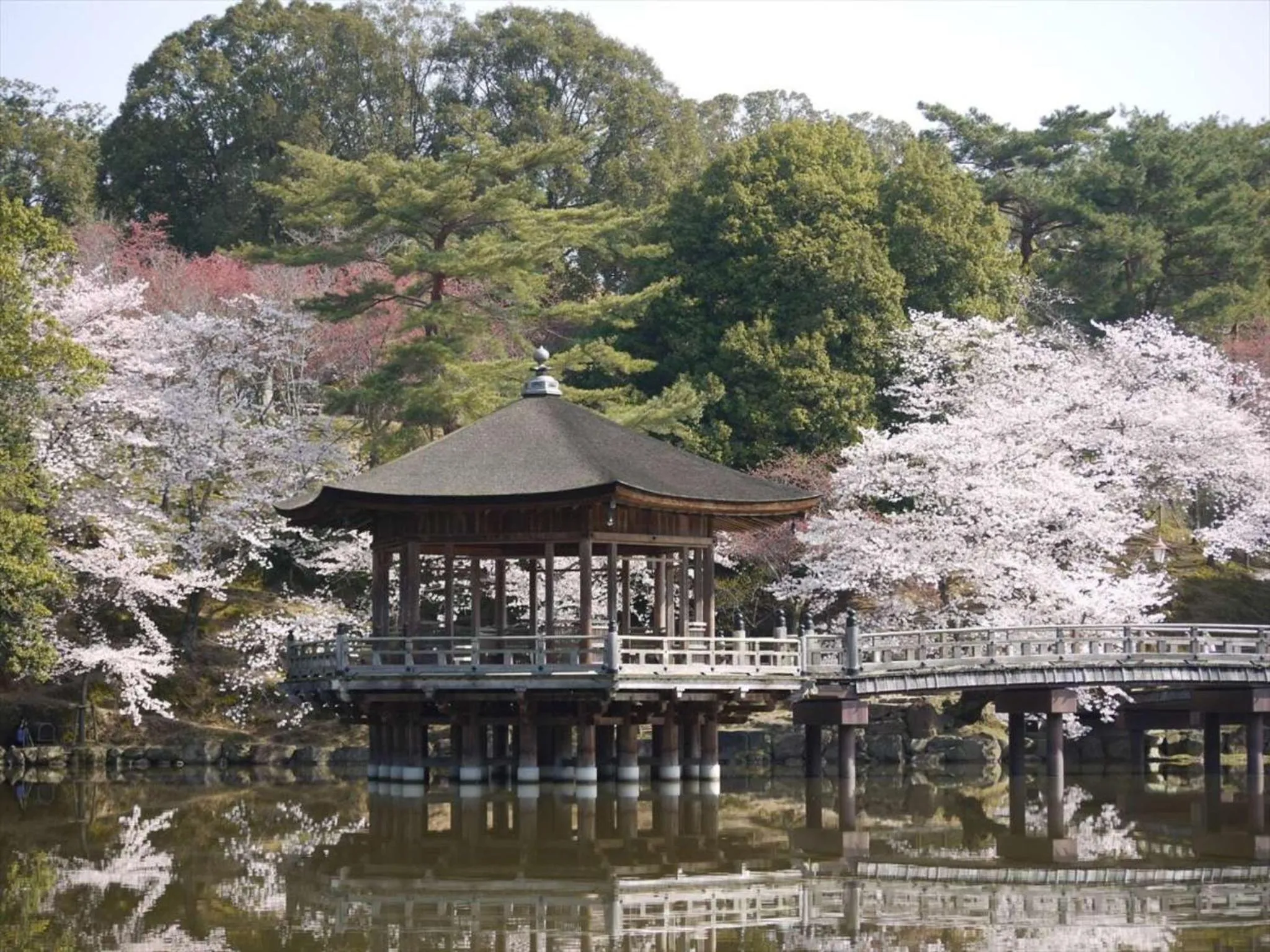 Natural landscape in Hotel New Wakasa