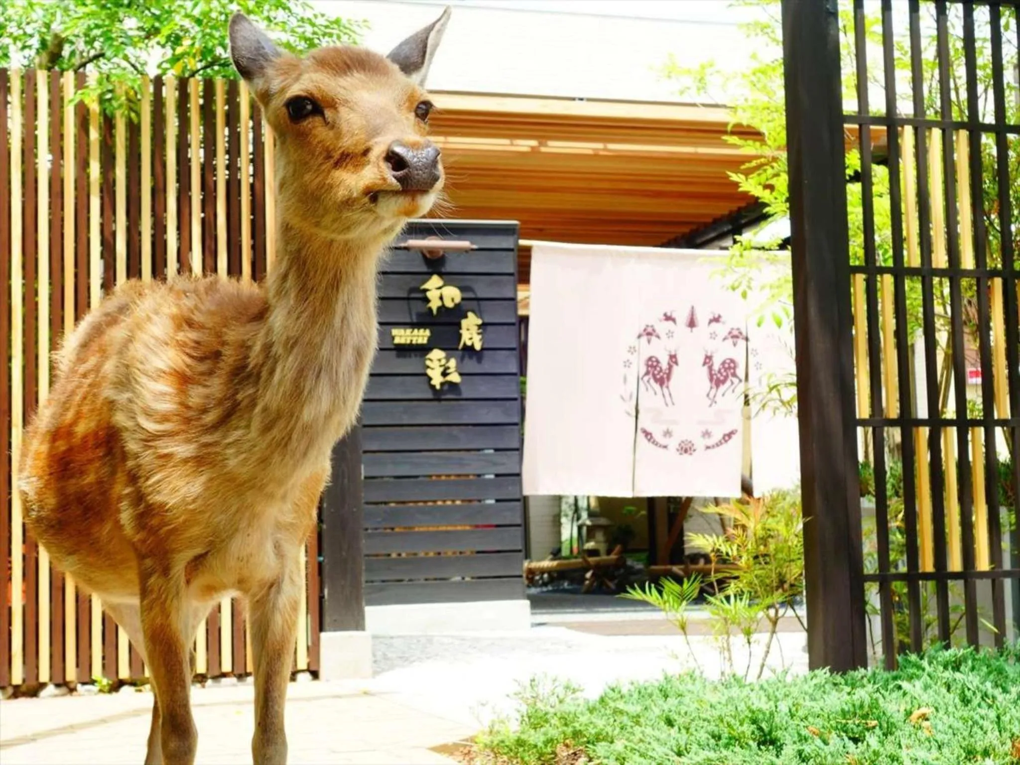 Facade/entrance in Hotel New Wakasa