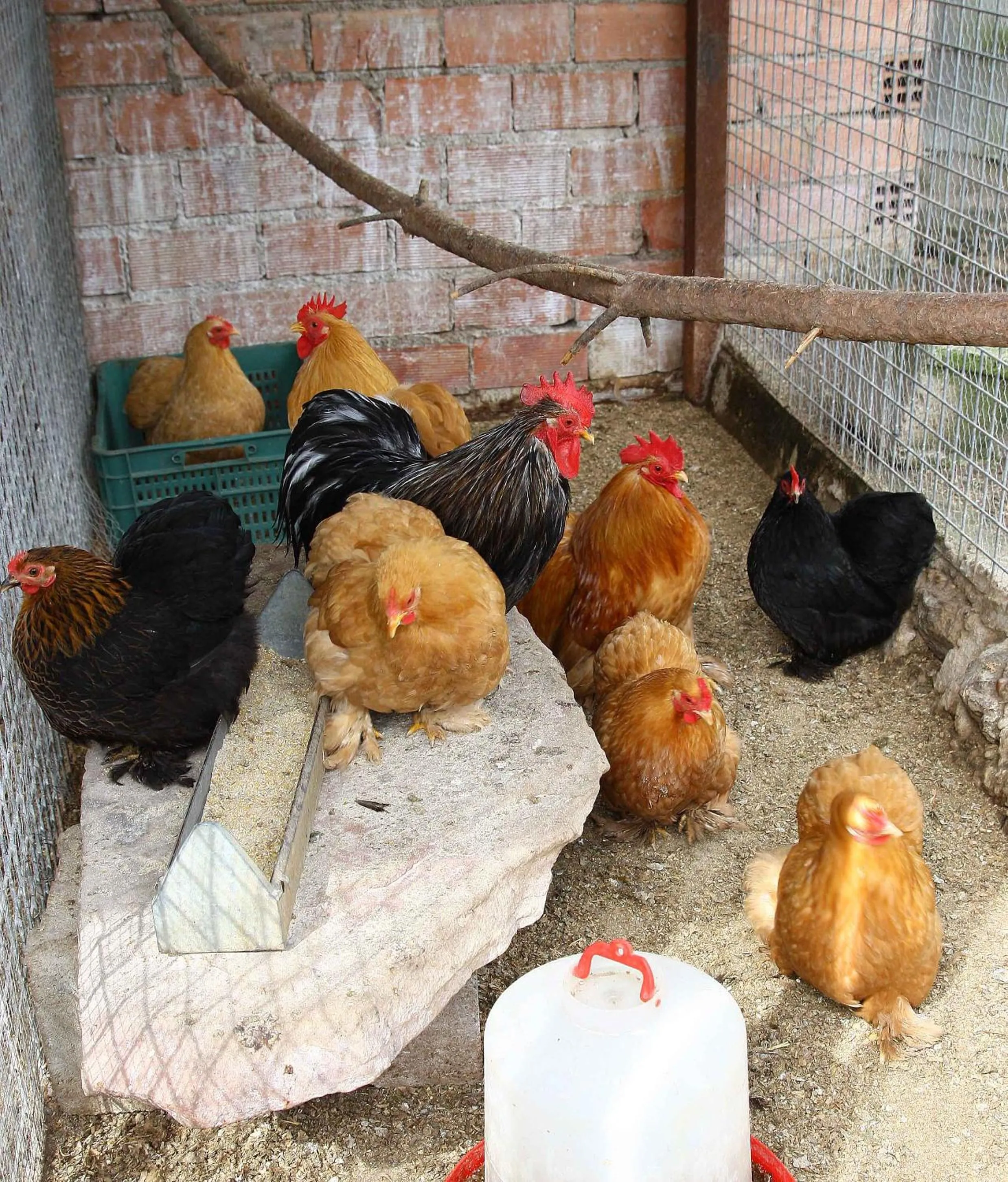 Area and facilities in Apartamentos Paraje San Gines