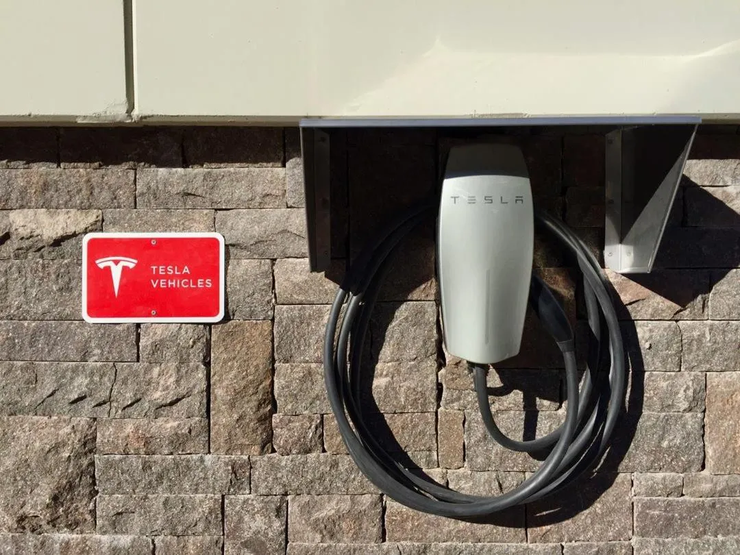 Activities in Hotel Foresta