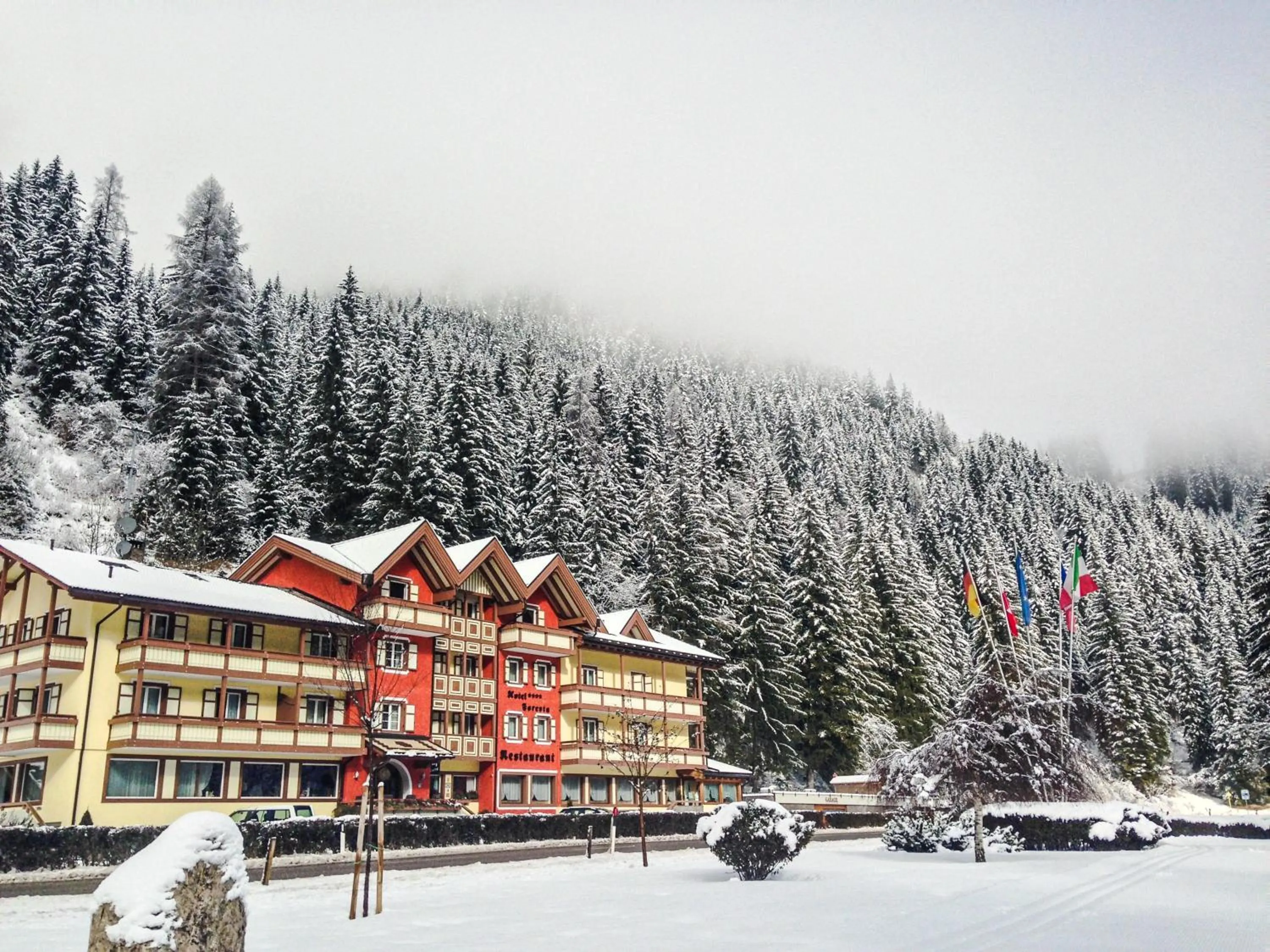 Property building in Hotel Foresta