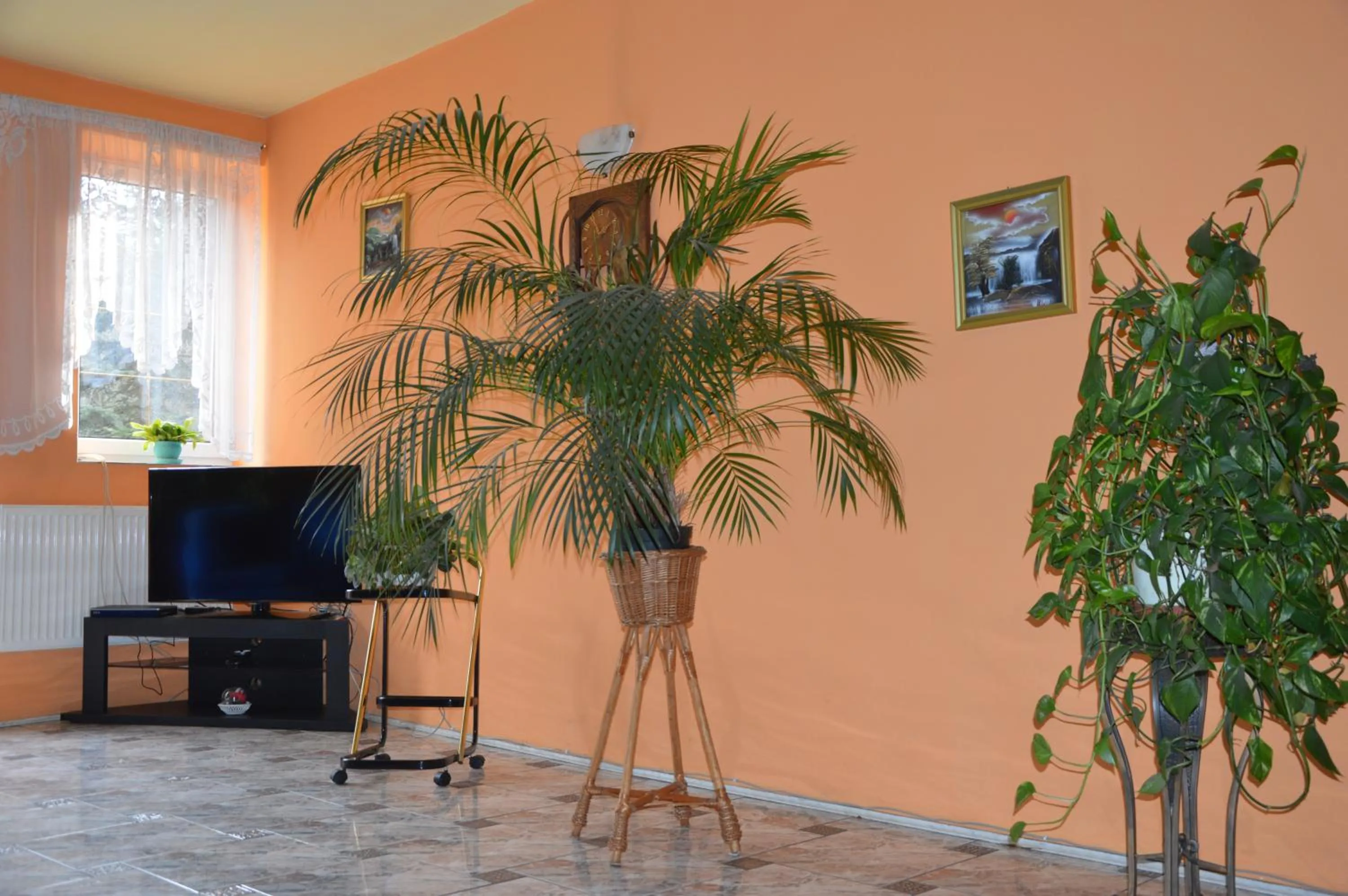 Communal lounge/ TV room in Hotel Pod Dębami