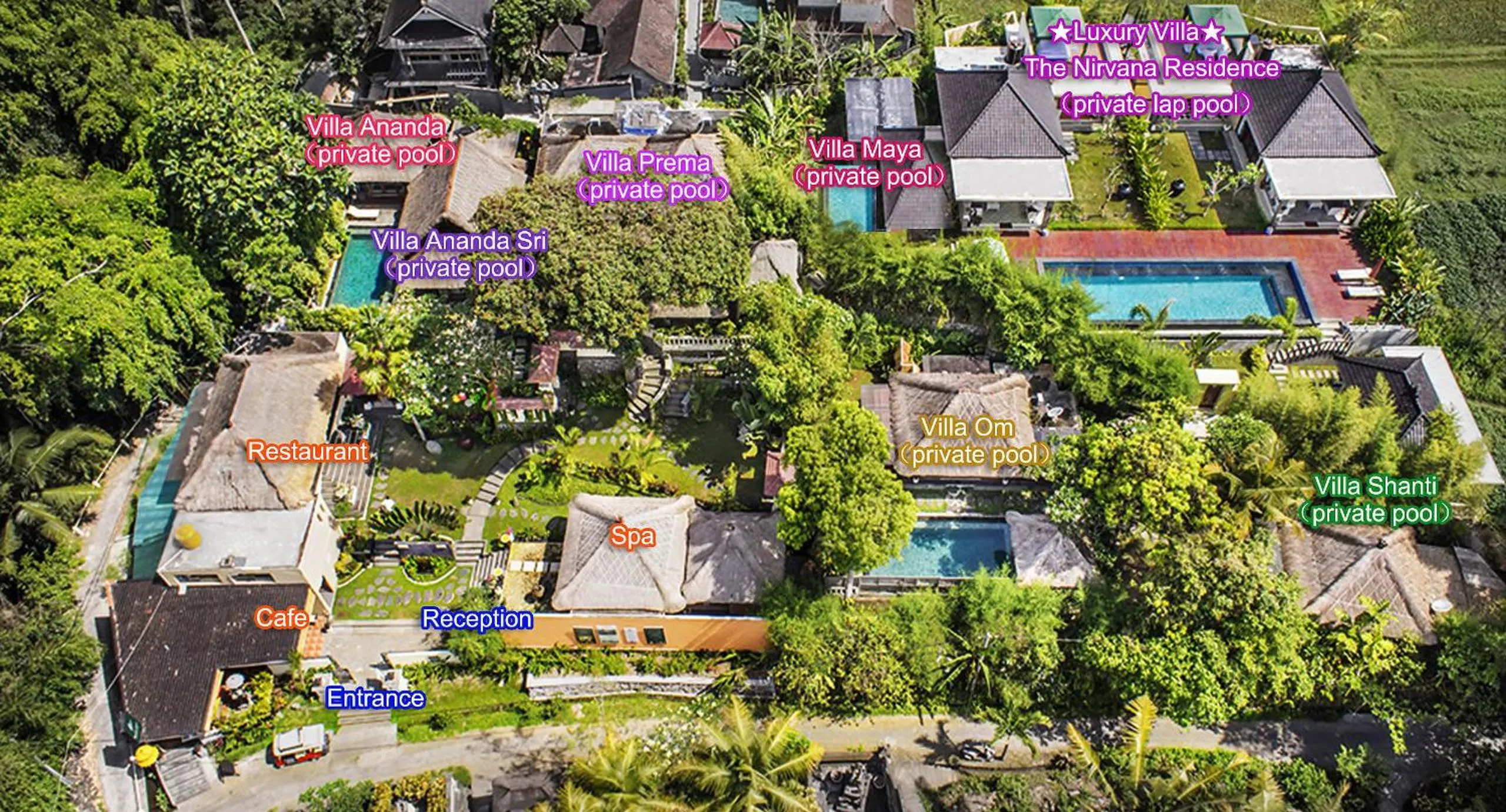 Garden in Villa Nirvana