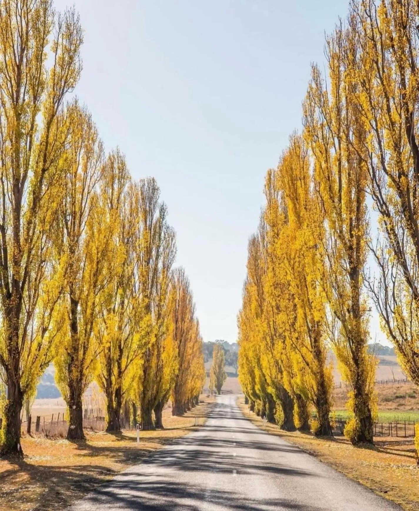 Natural landscape in Kandos Fairways Motel
