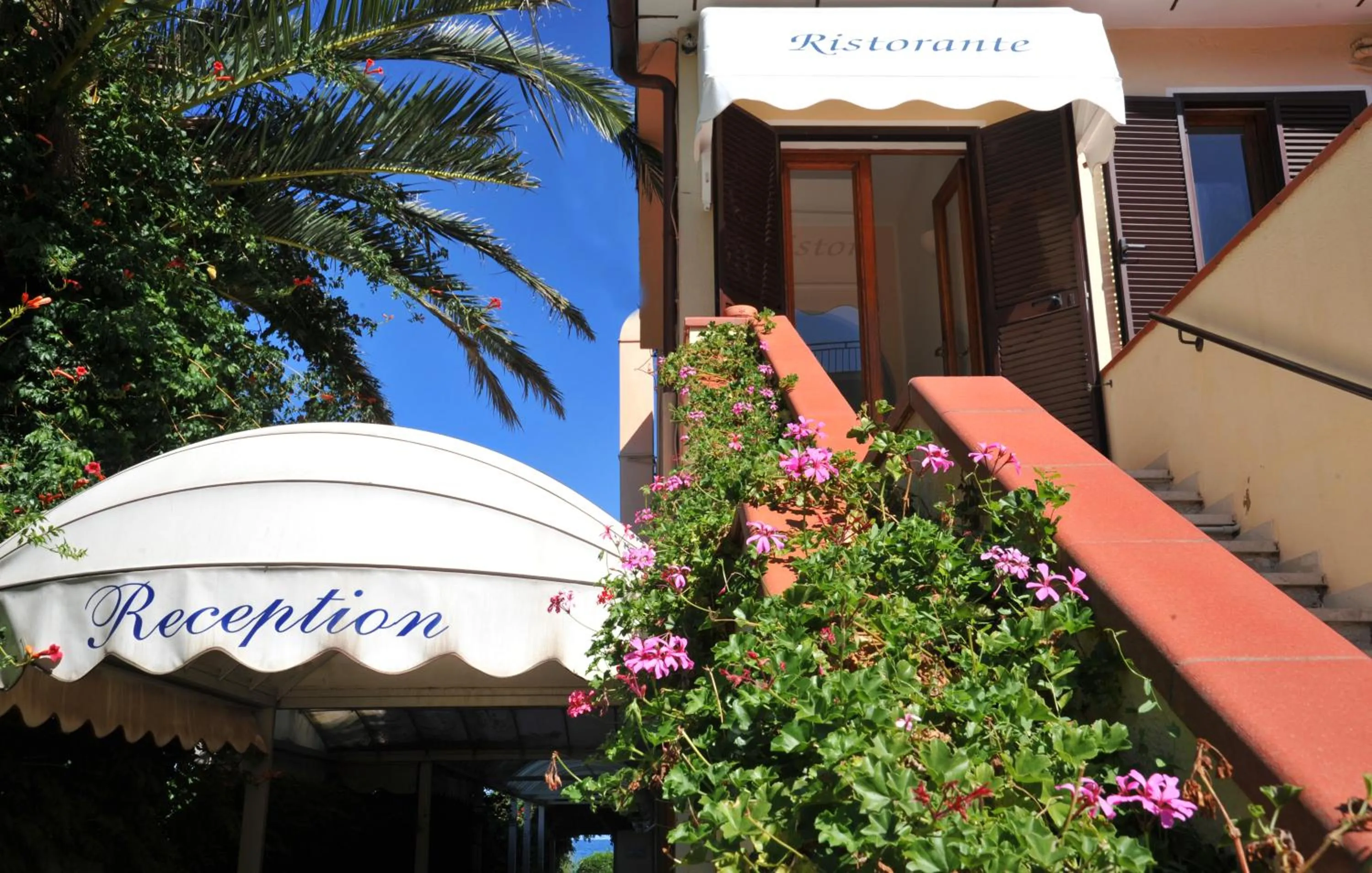 Property building in Frank's Hotel