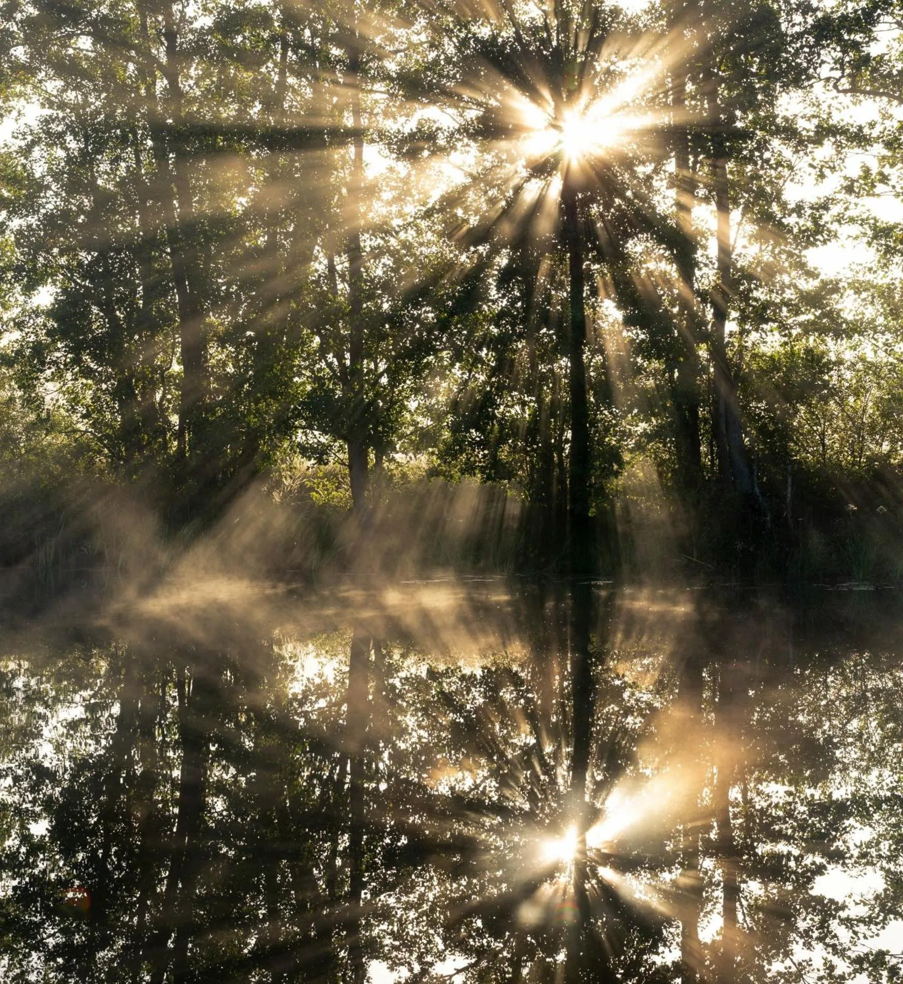 Nearby landmark in Skultuna Hotell & Konferens