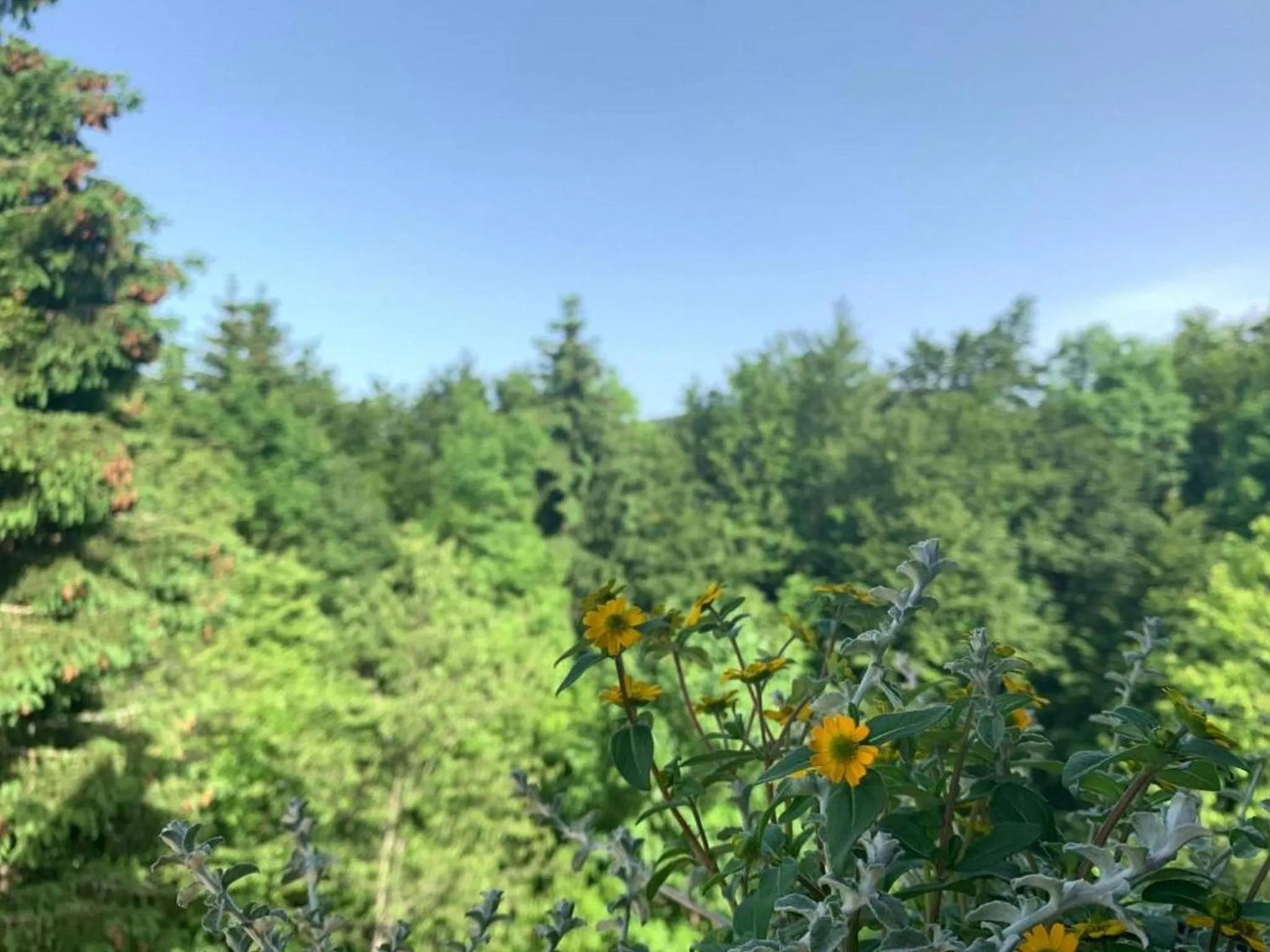 Neighbourhood in Guesthouse Family Bosnic