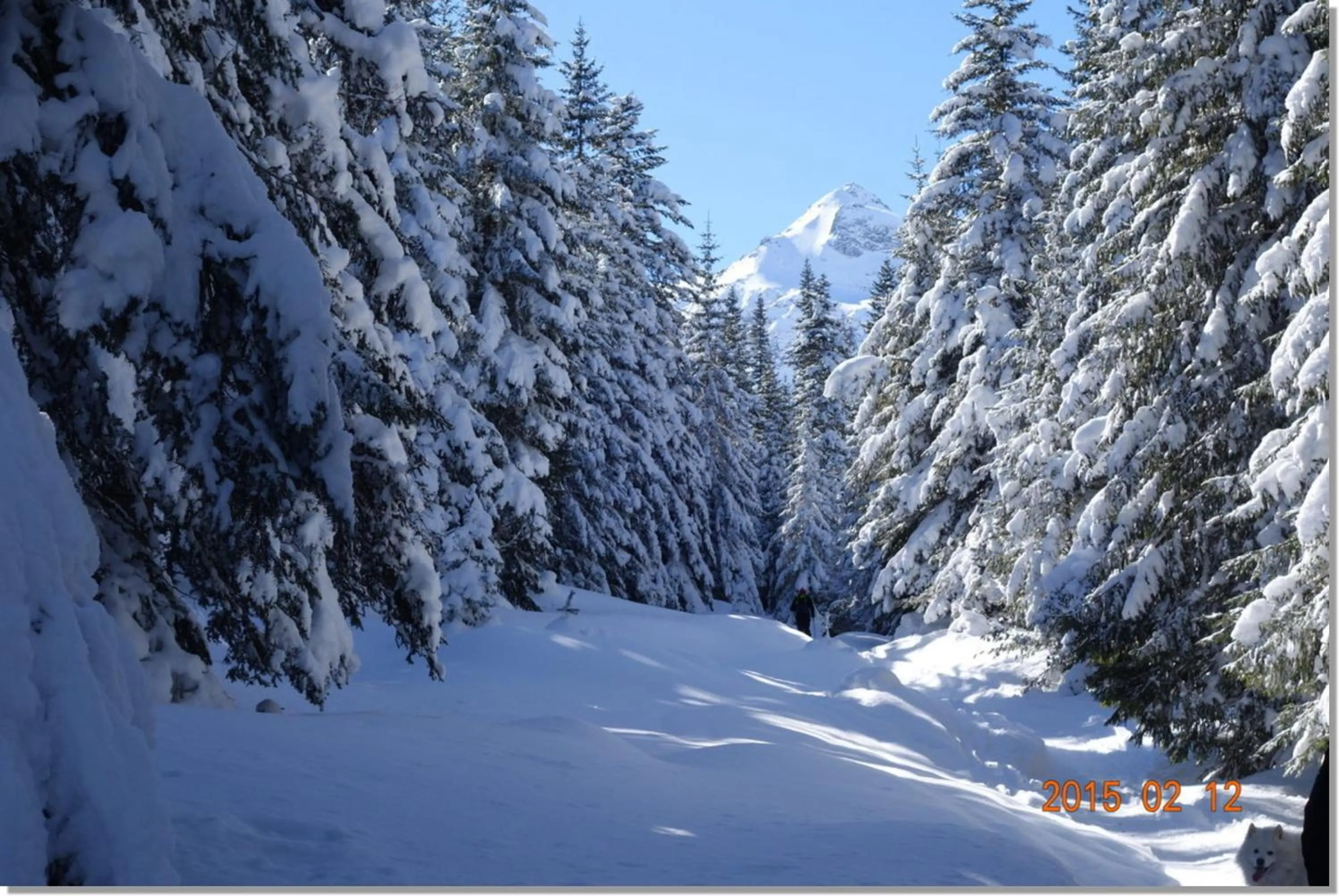 Winter in Family hotel Iskar