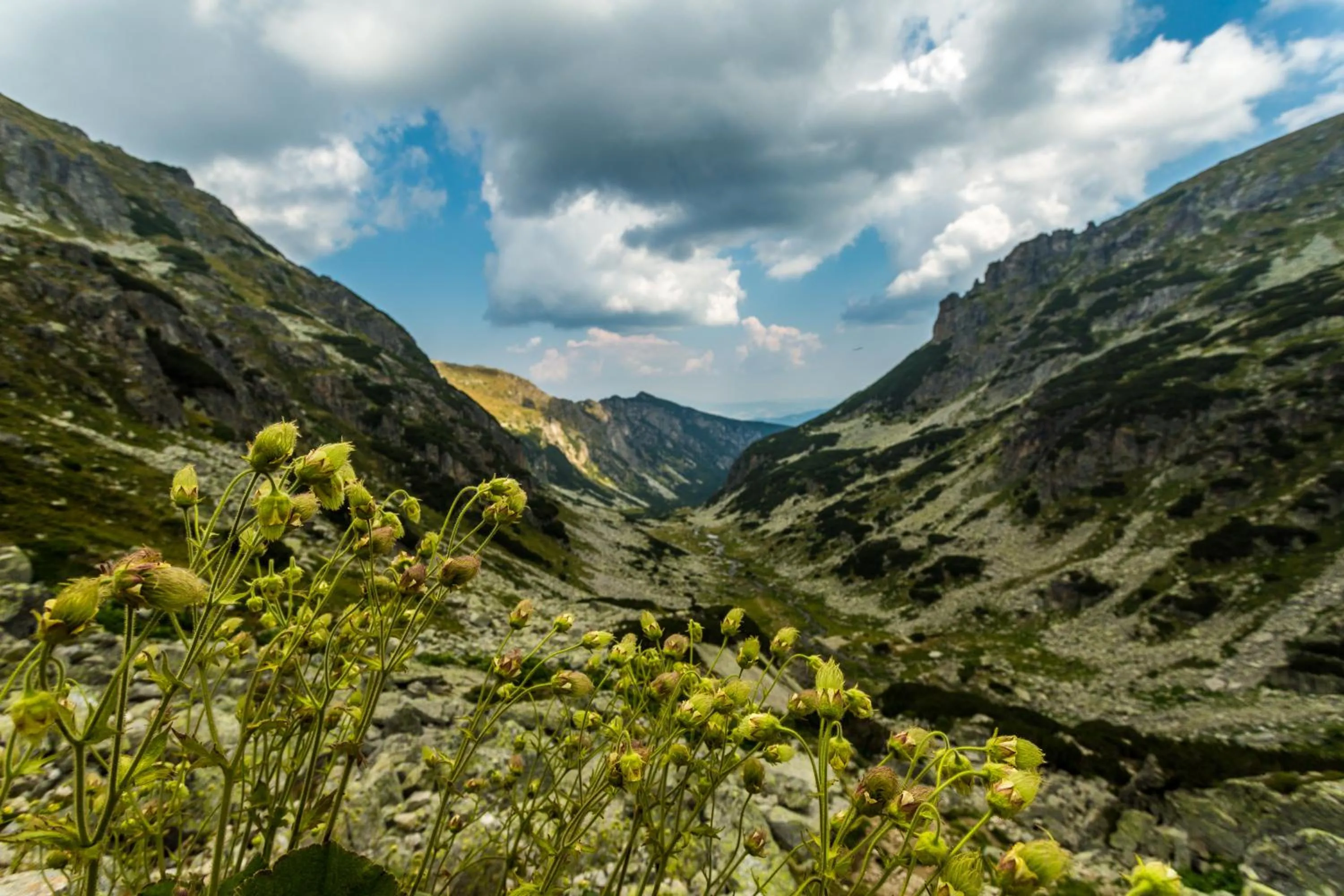 Mountain view in Family hotel Iskar