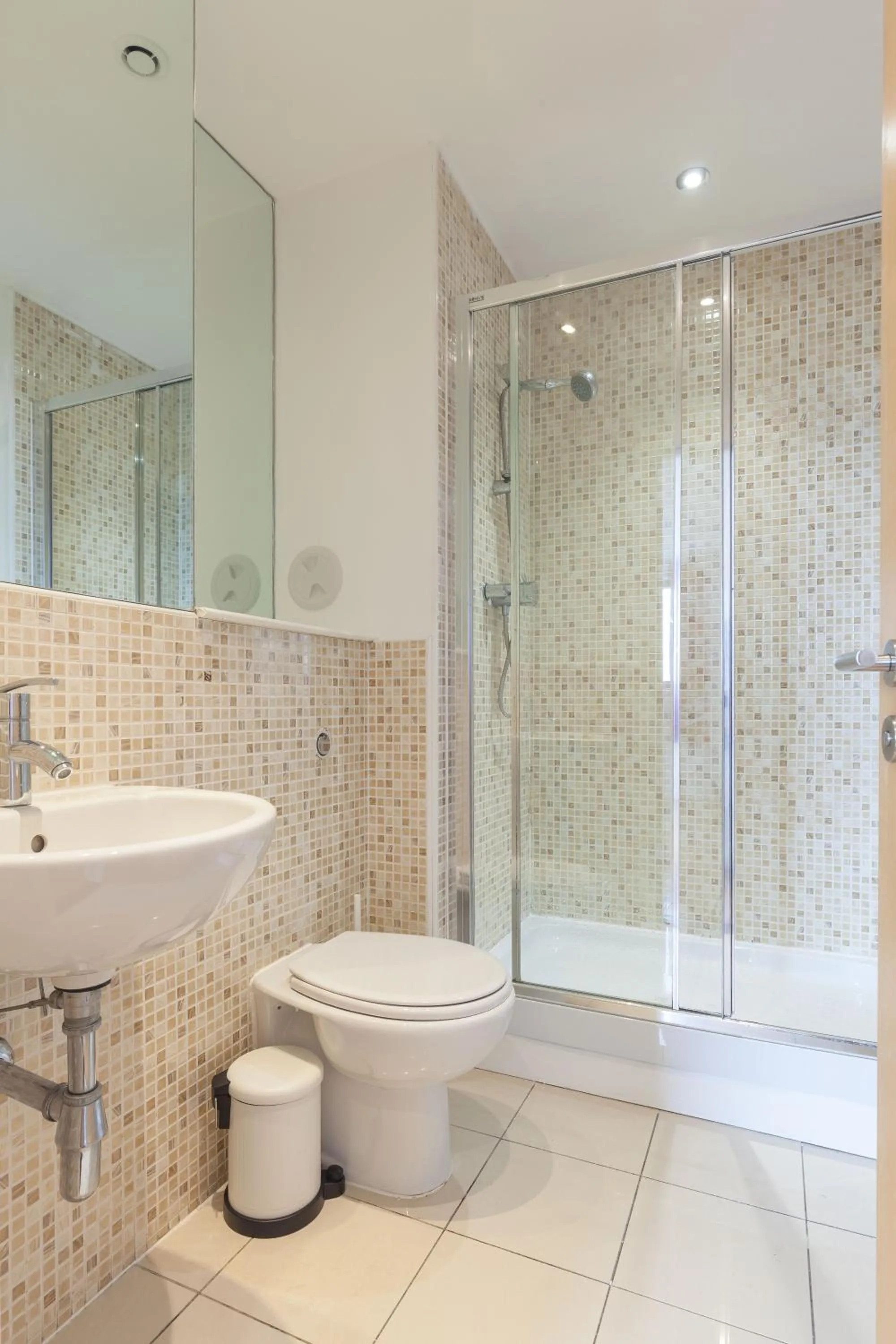 Shower in Stylish Penthouse Suite