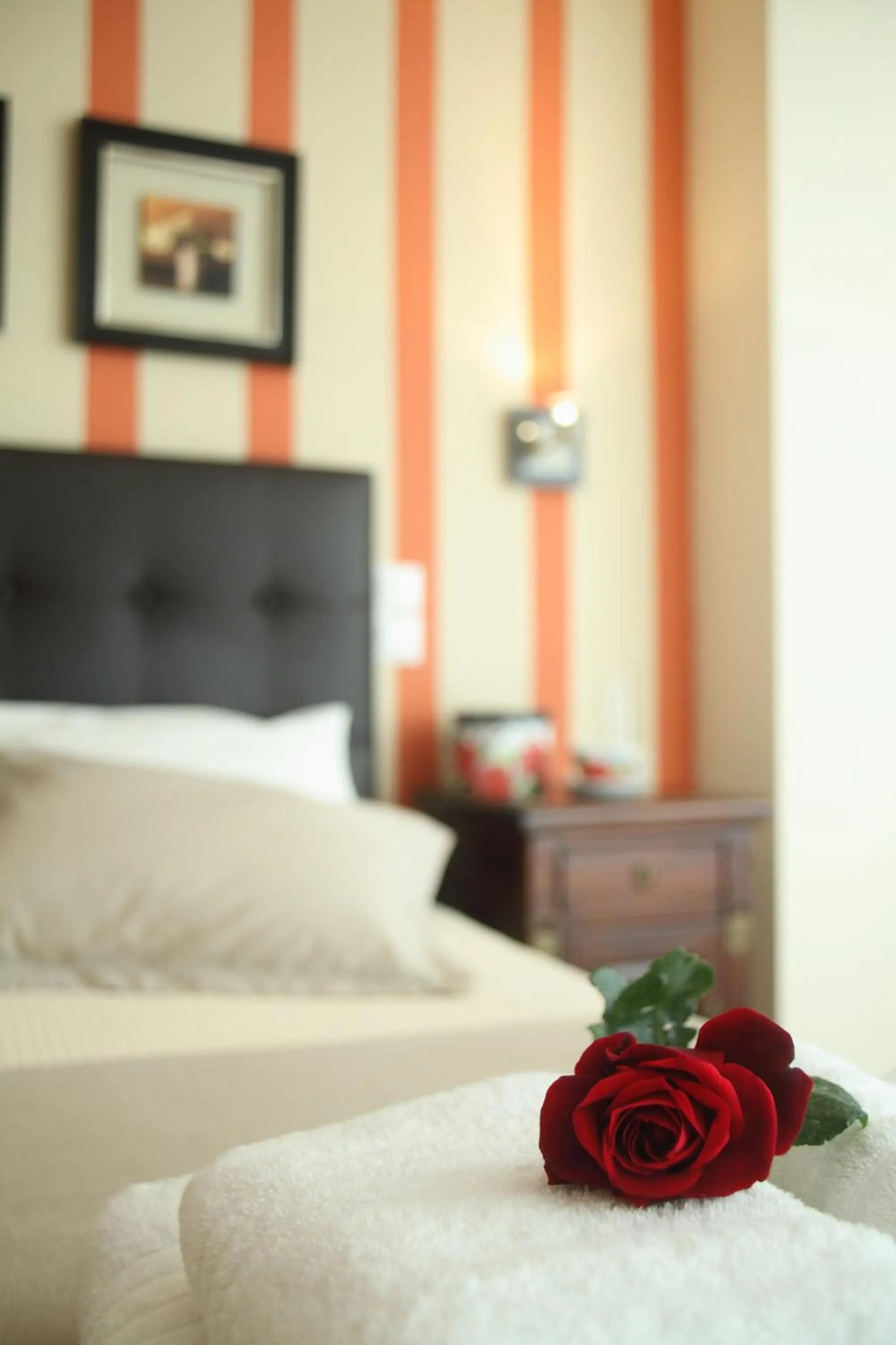 Bed in Anthias Garden