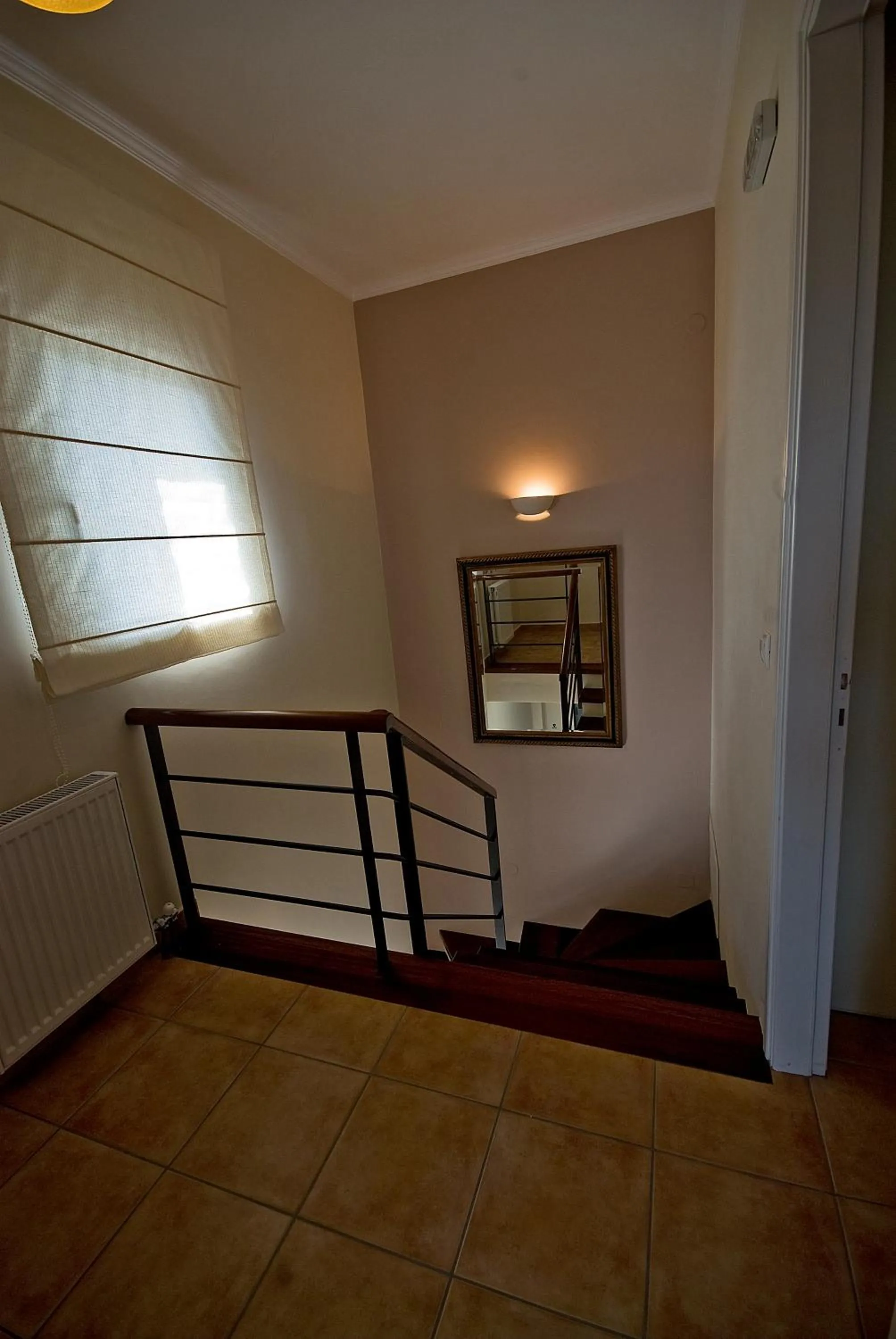 Other in Anthias Garden