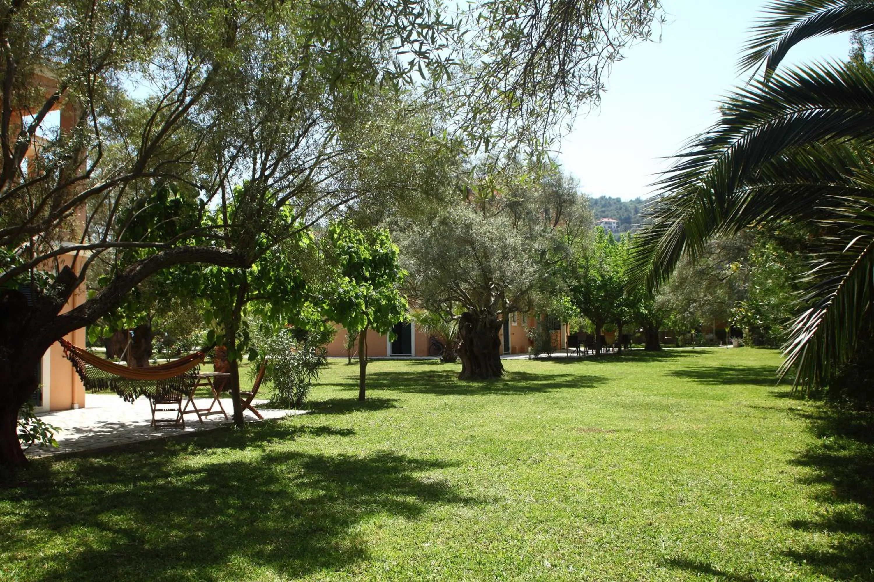 Garden in Anthias Garden