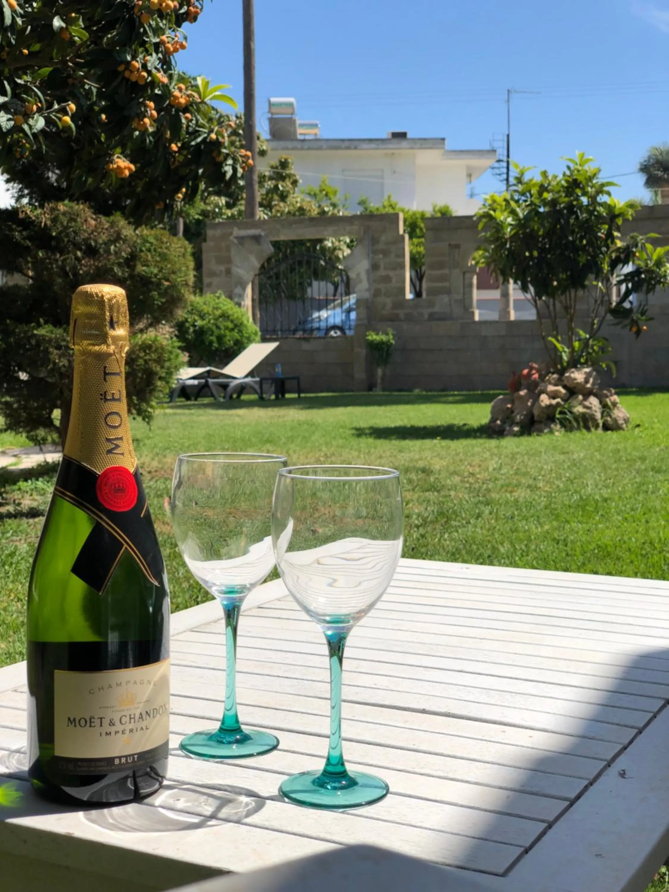 Garden in Jimmy’s Garden