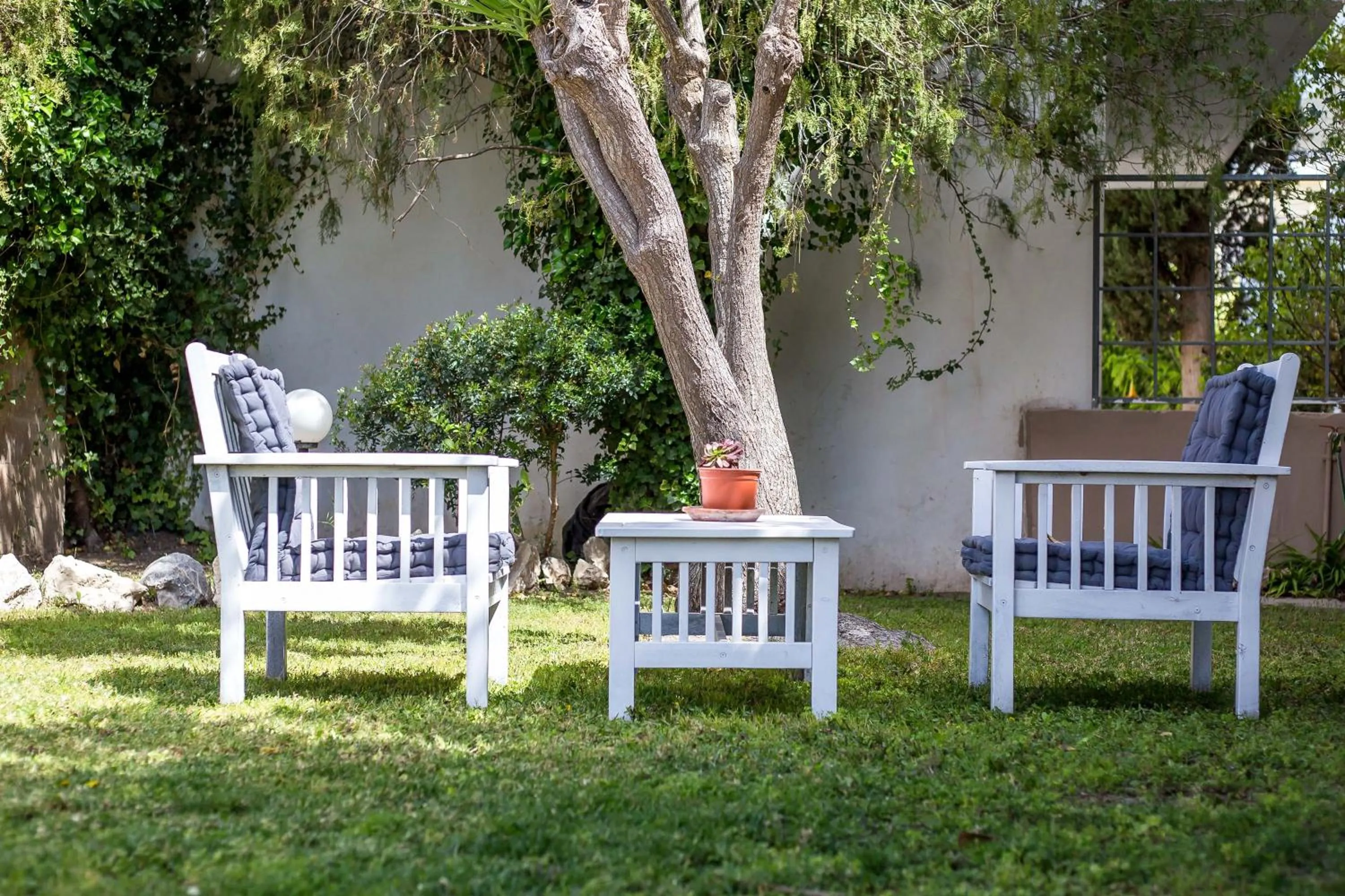 Garden in Jimmy’s Garden