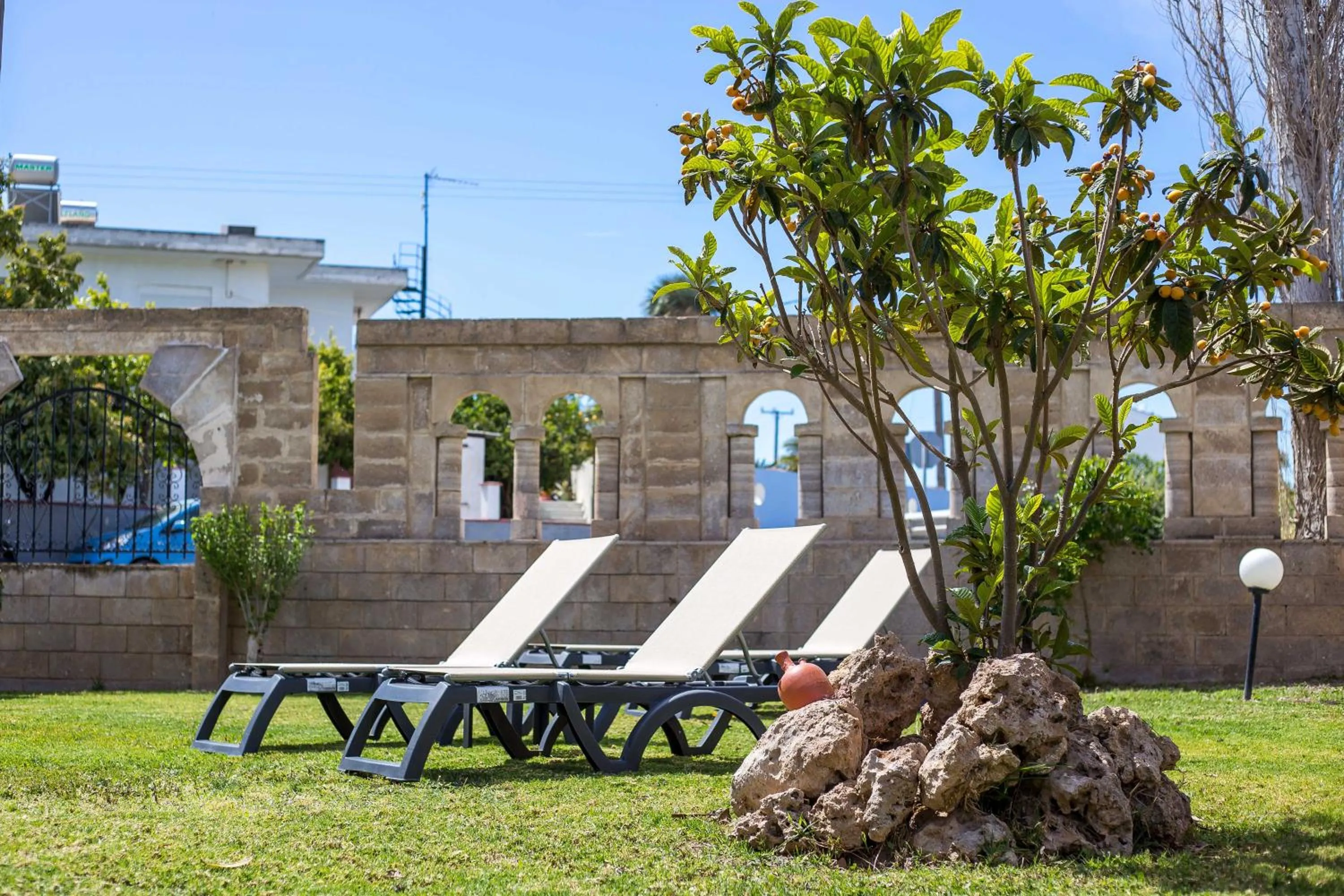 Garden in Jimmy’s Garden