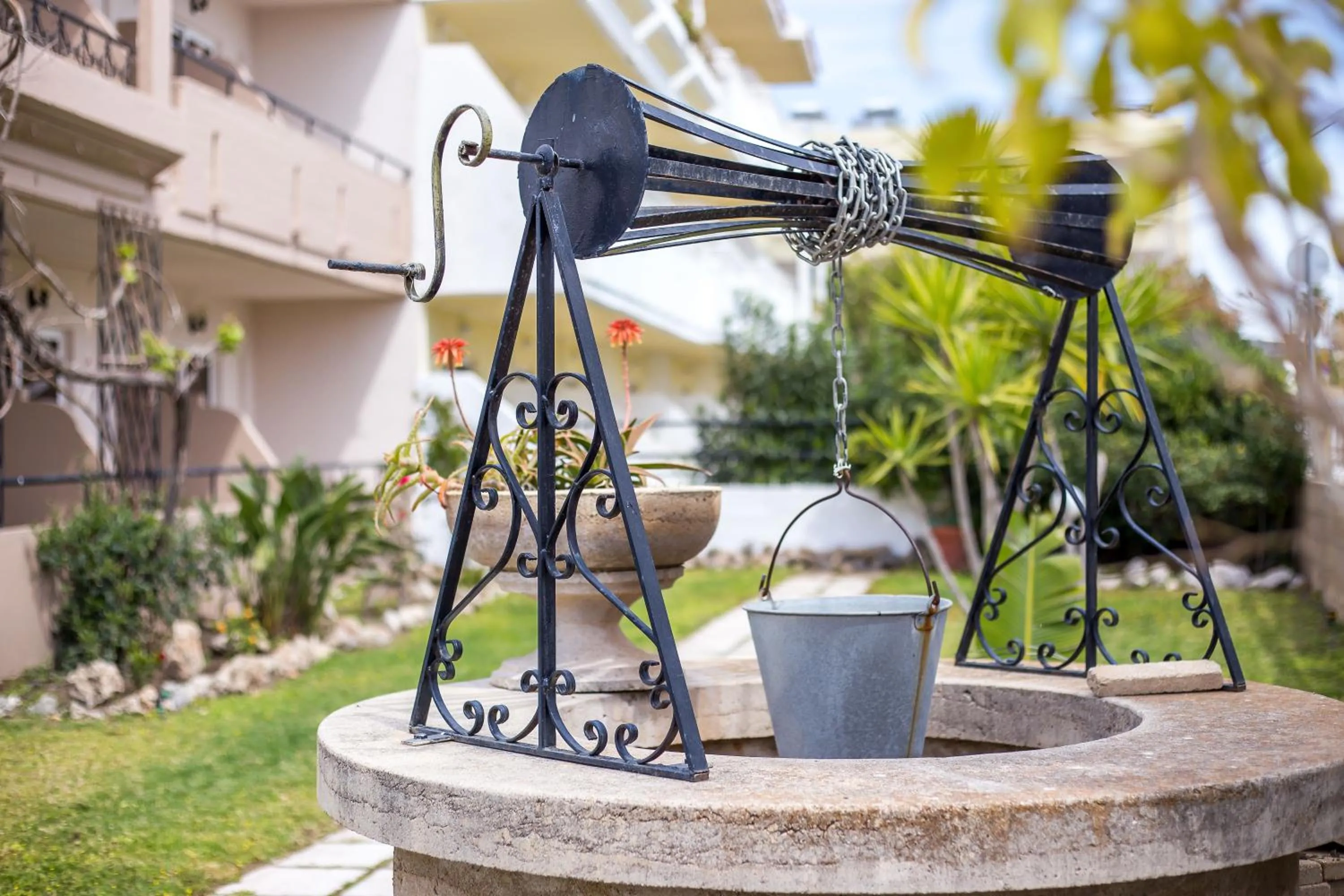 Garden in Jimmy’s Garden