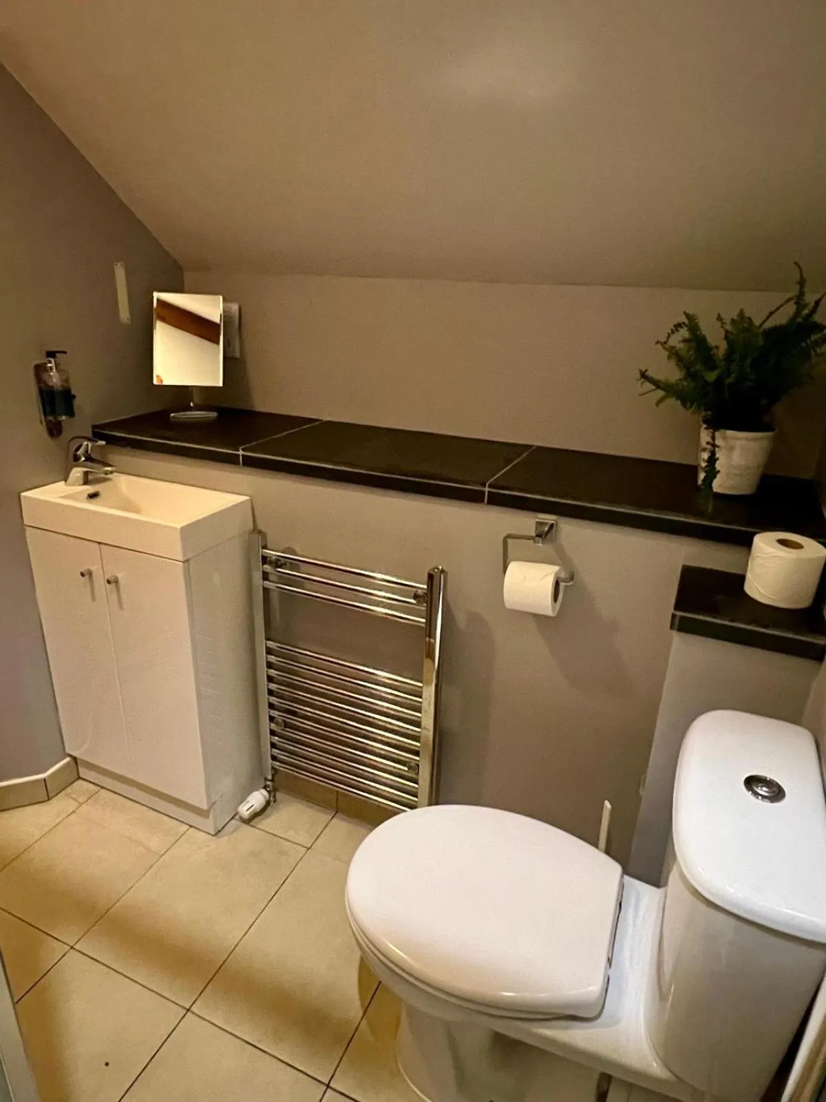 Shower in Dolgun Uchaf Historic B&B and Cottages in Snowdonia