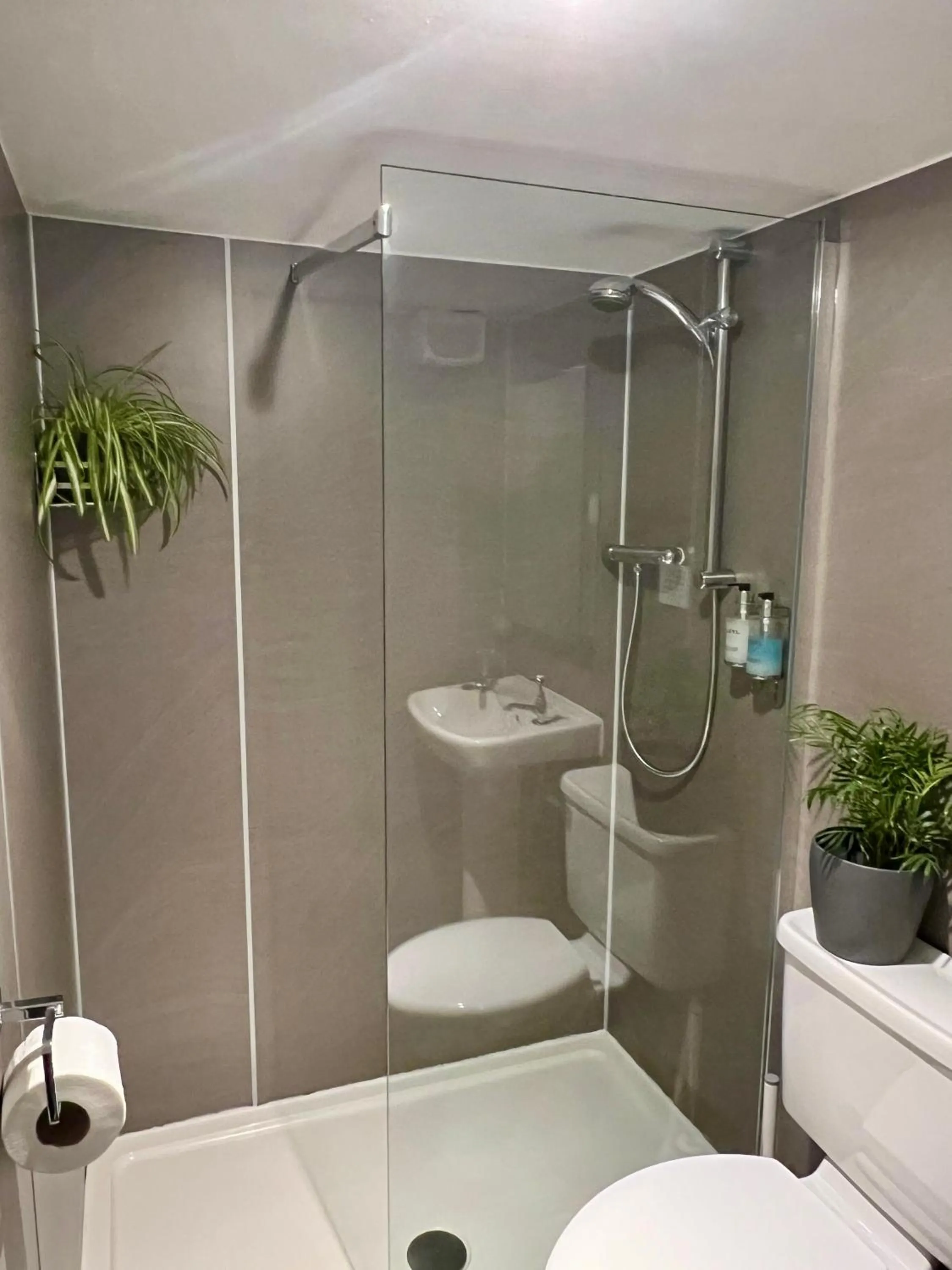 Shower in Dolgun Uchaf Historic B&B and Cottages in Snowdonia