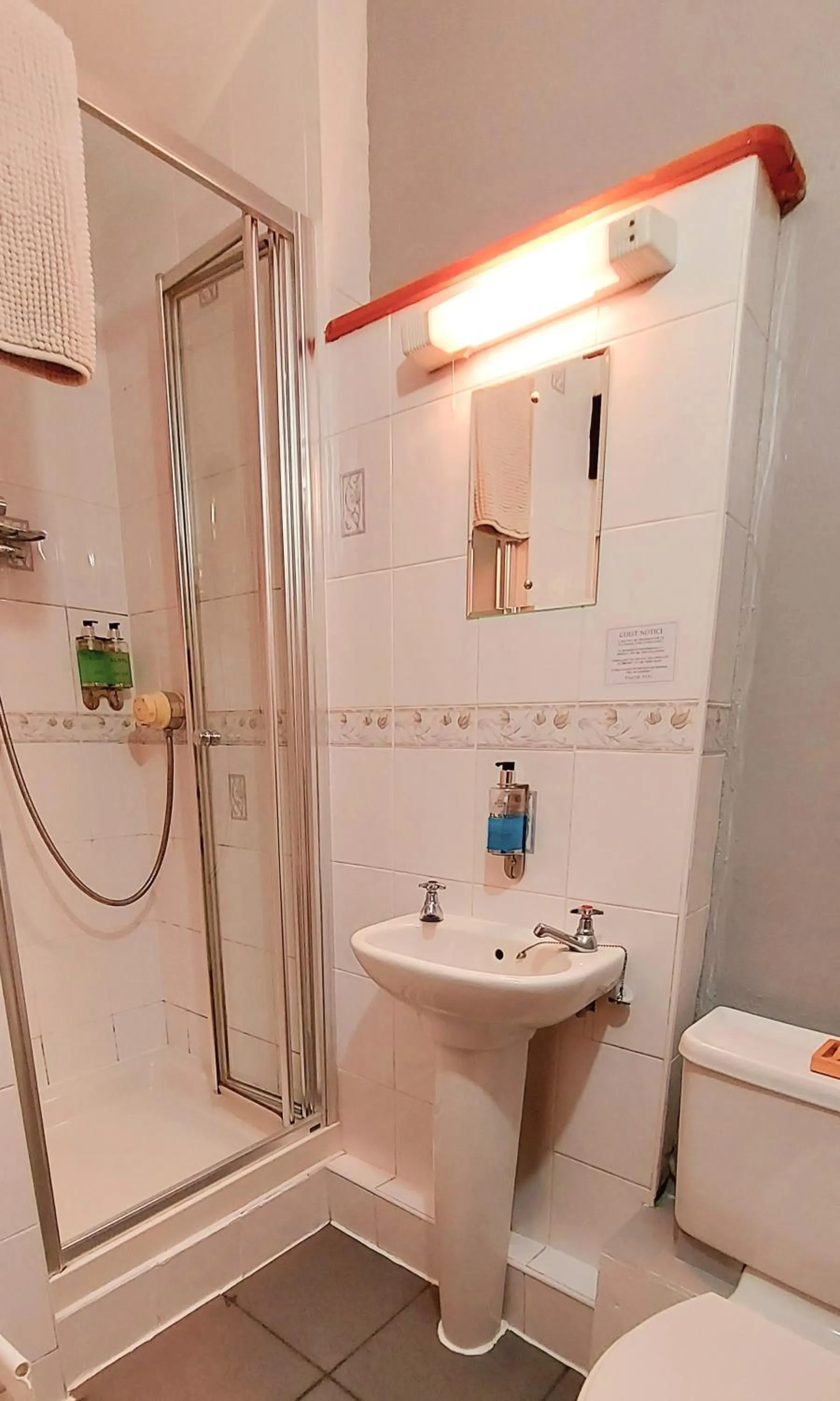 Shower in Dolgun Uchaf Historic B&B and Cottages in Snowdonia